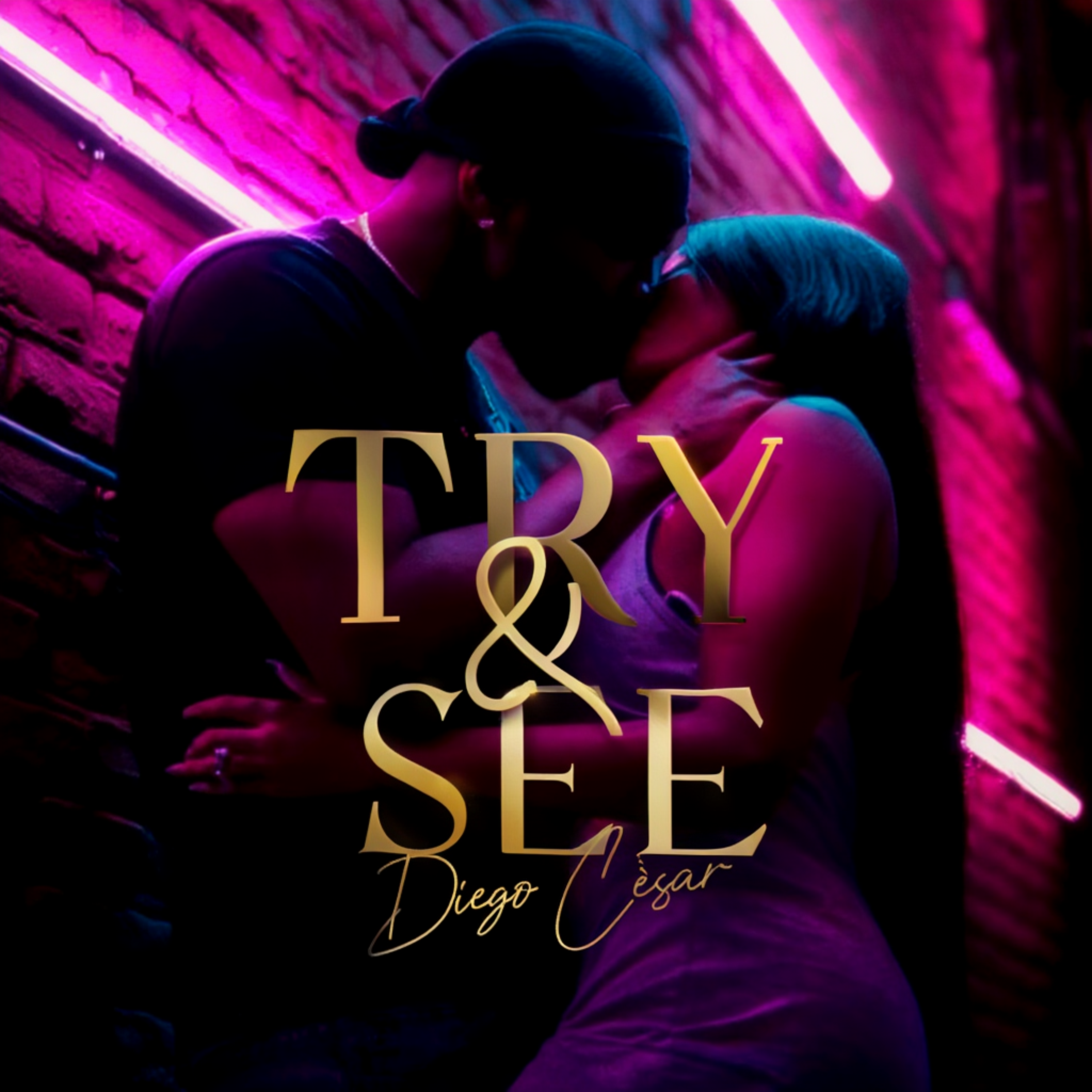 TRY & SEE artwork