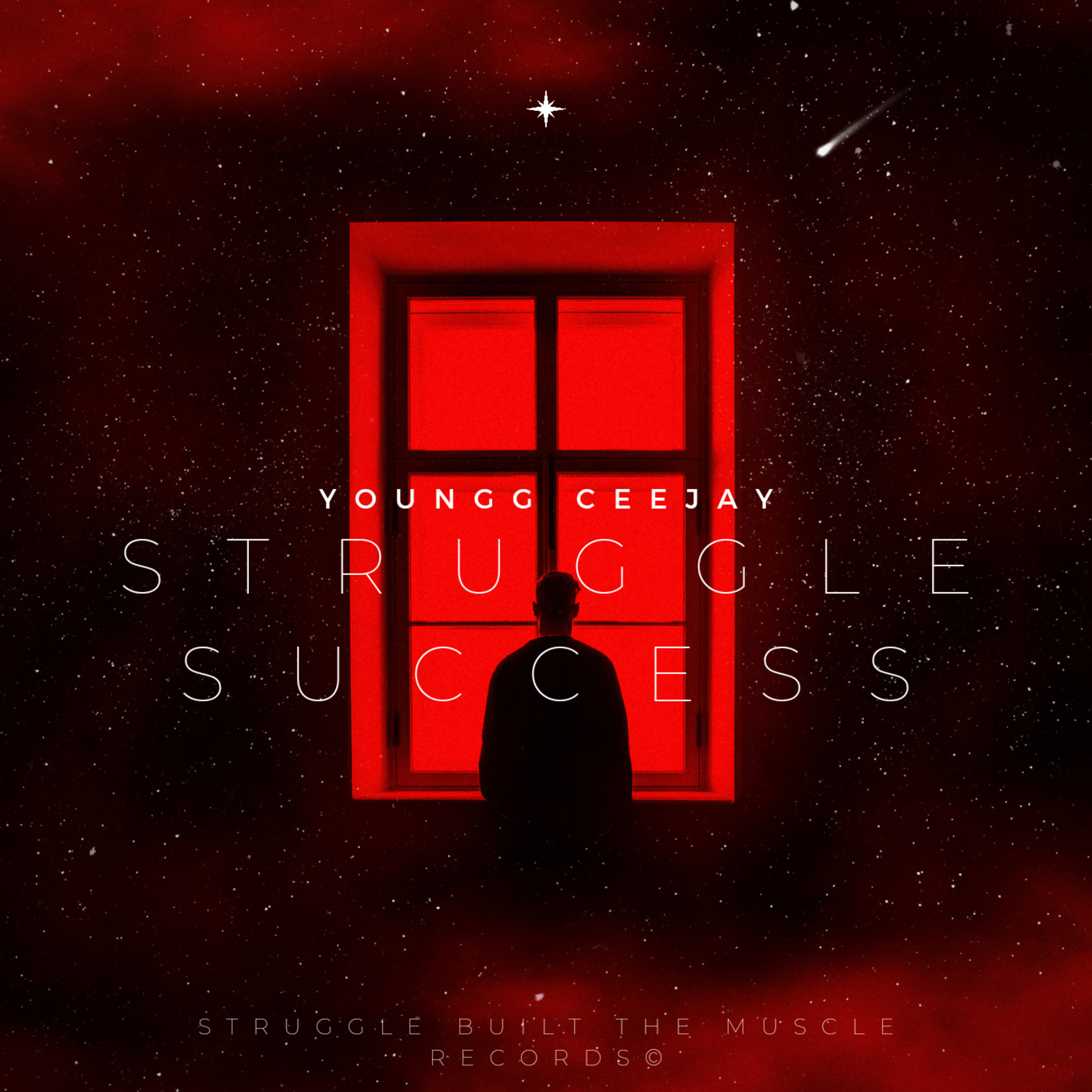 Struggle Success artwork