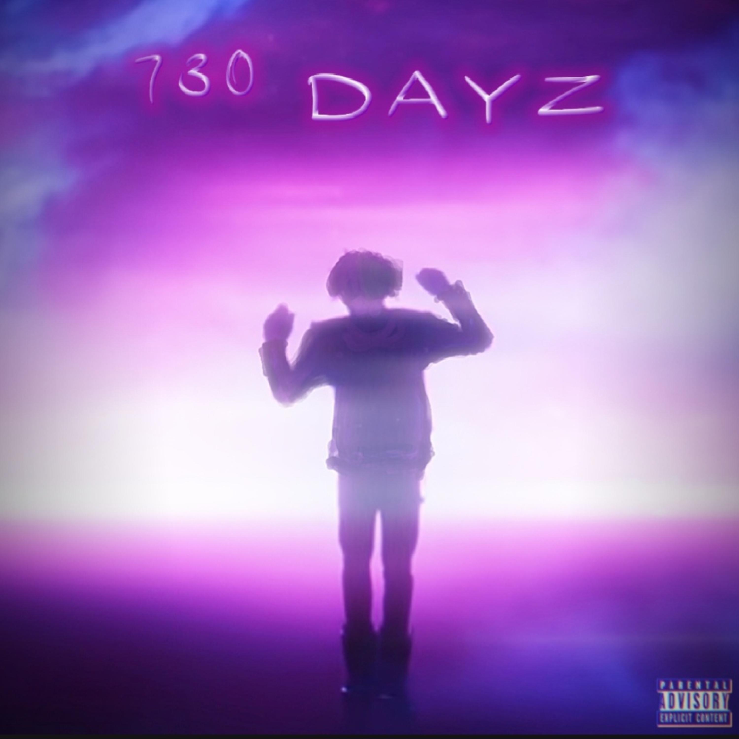 730 Dayz artwork