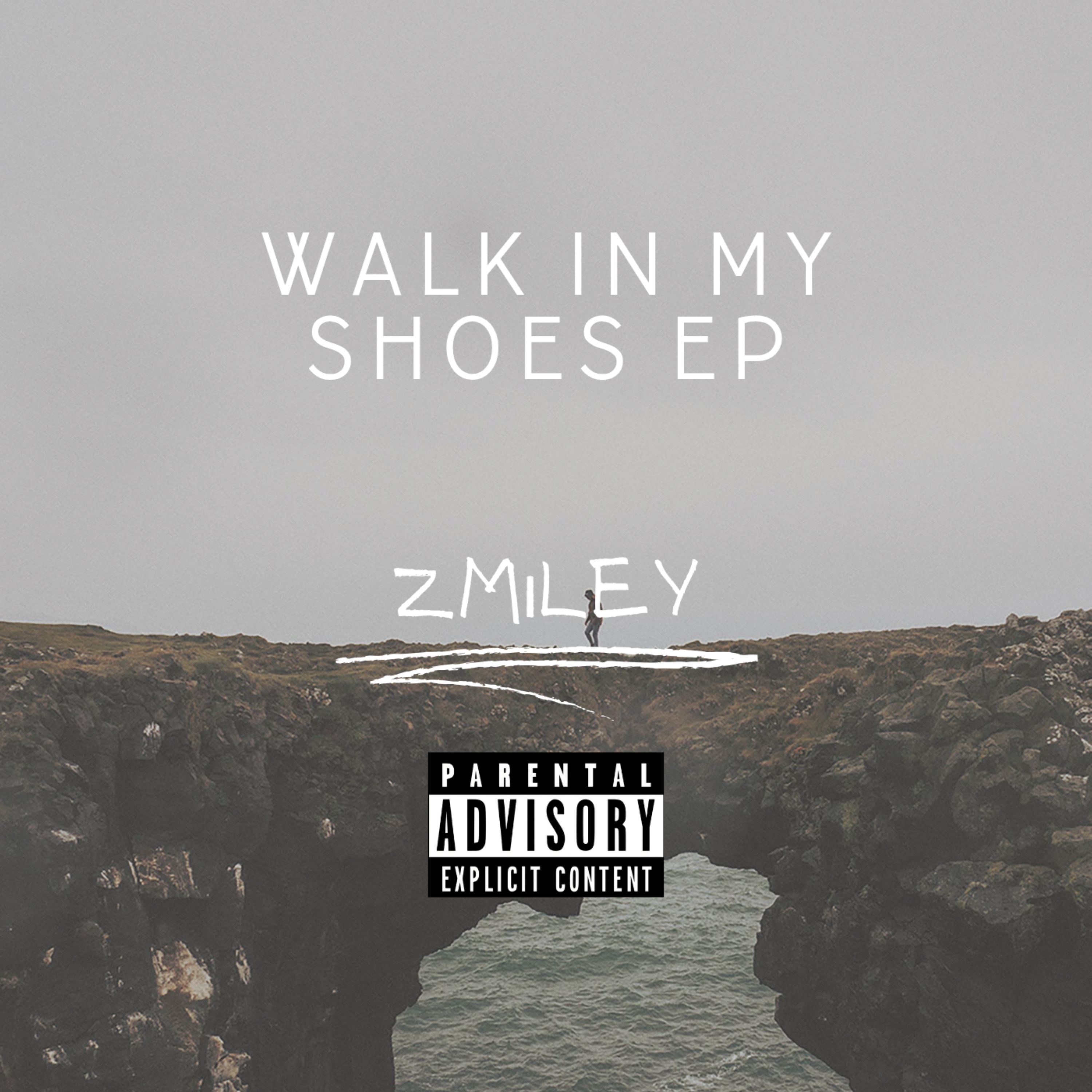 Walk In My Shoes artwork