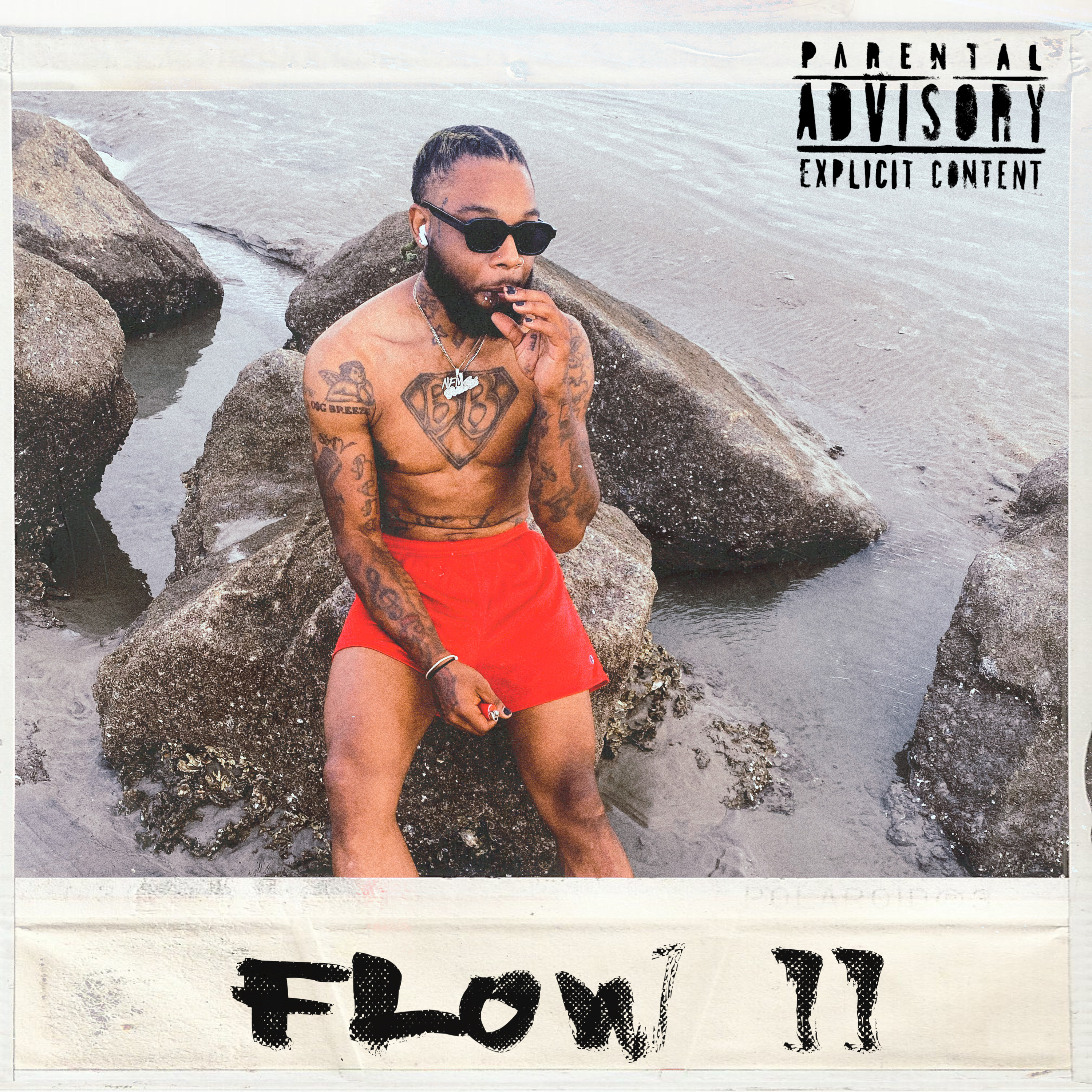 Flow 2 by HIMM cover art