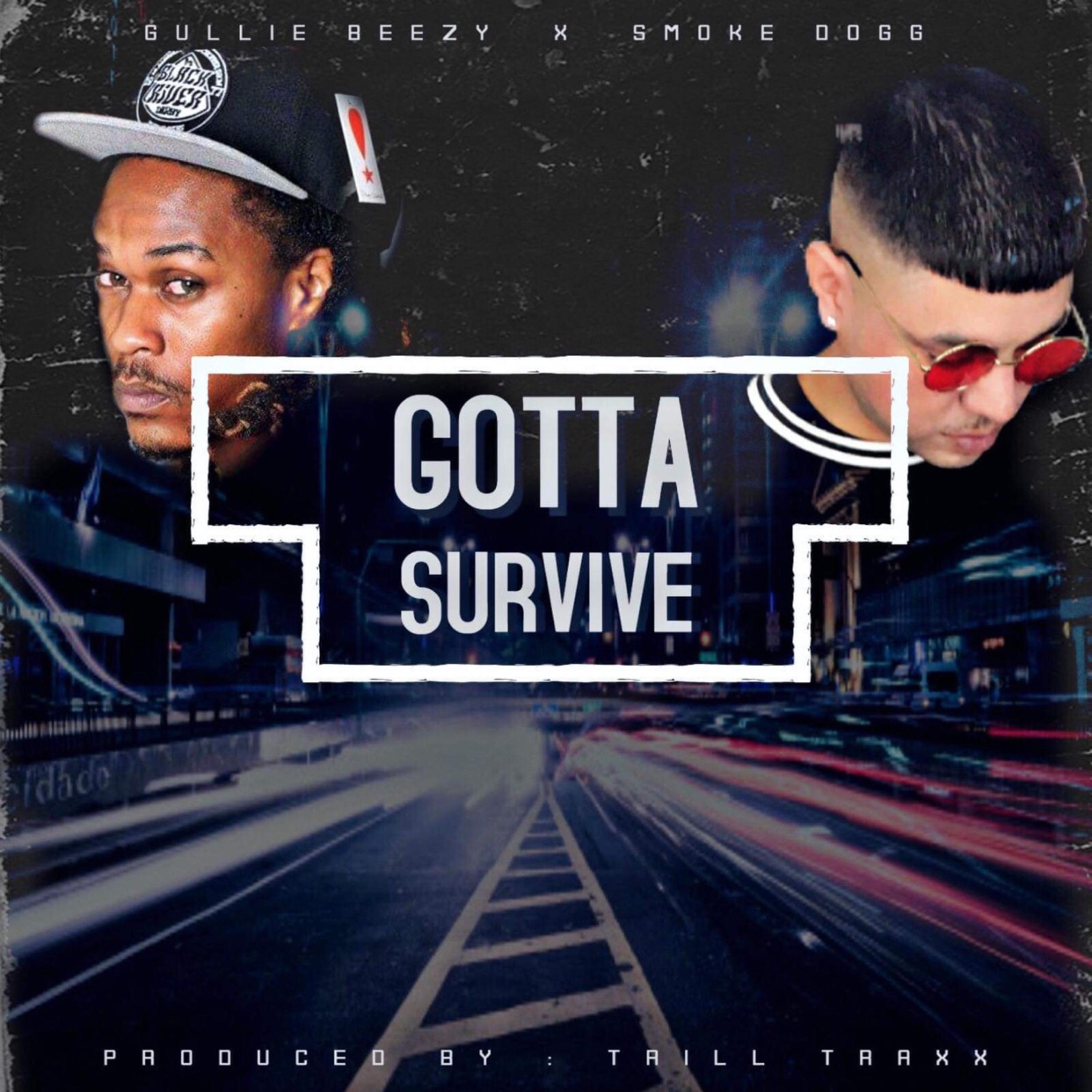 Gotta Survive artwork