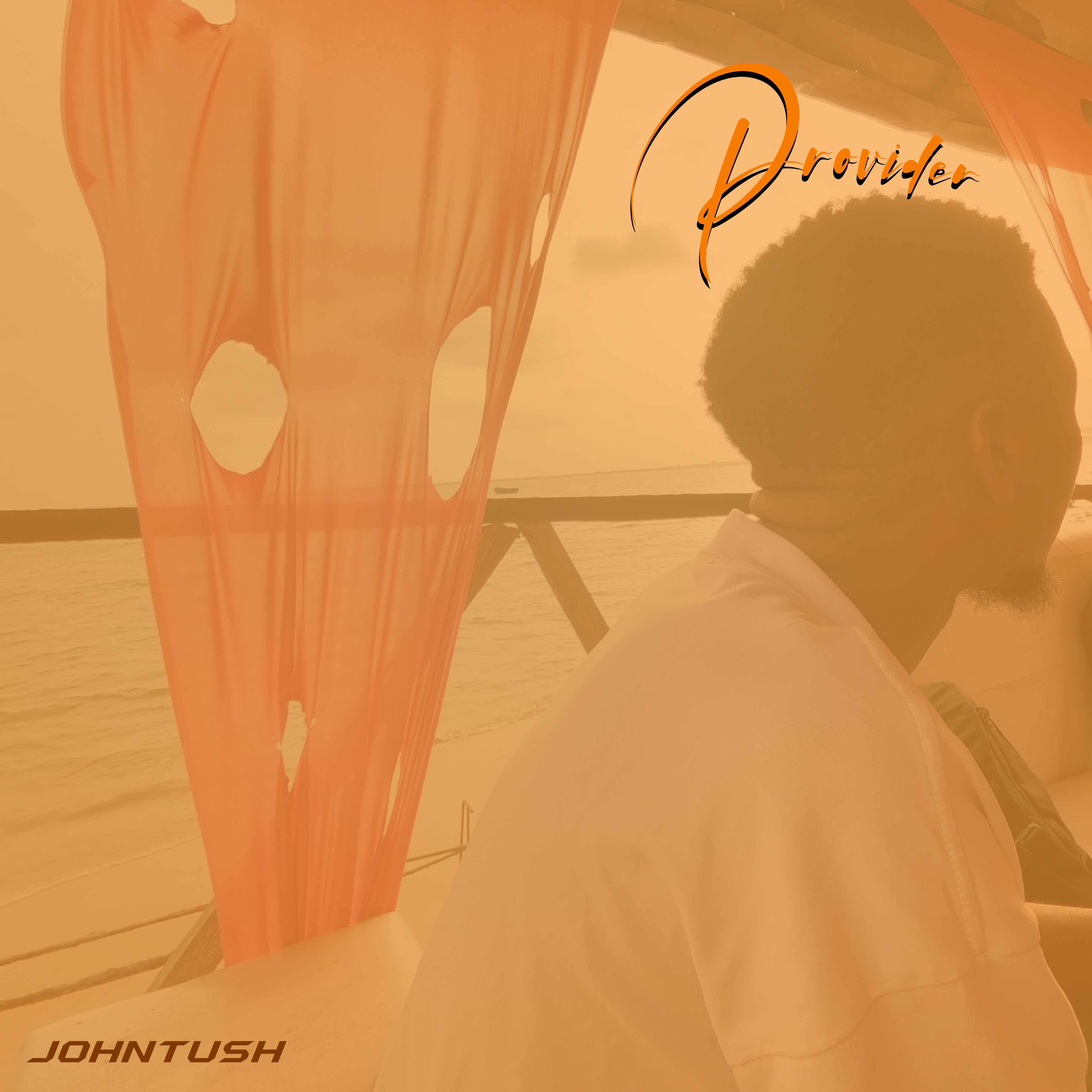Provider artwork
