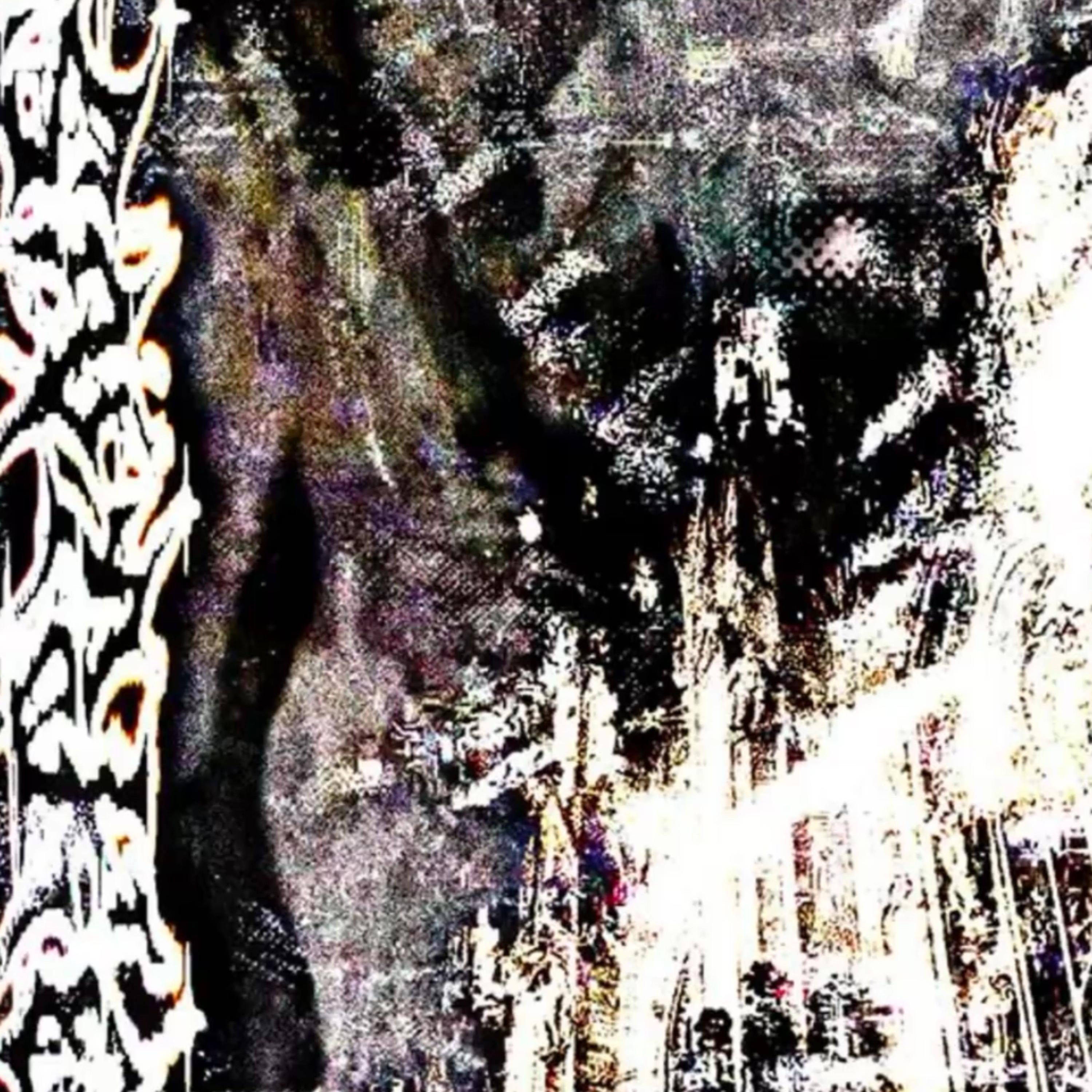 VV$KISS artwork