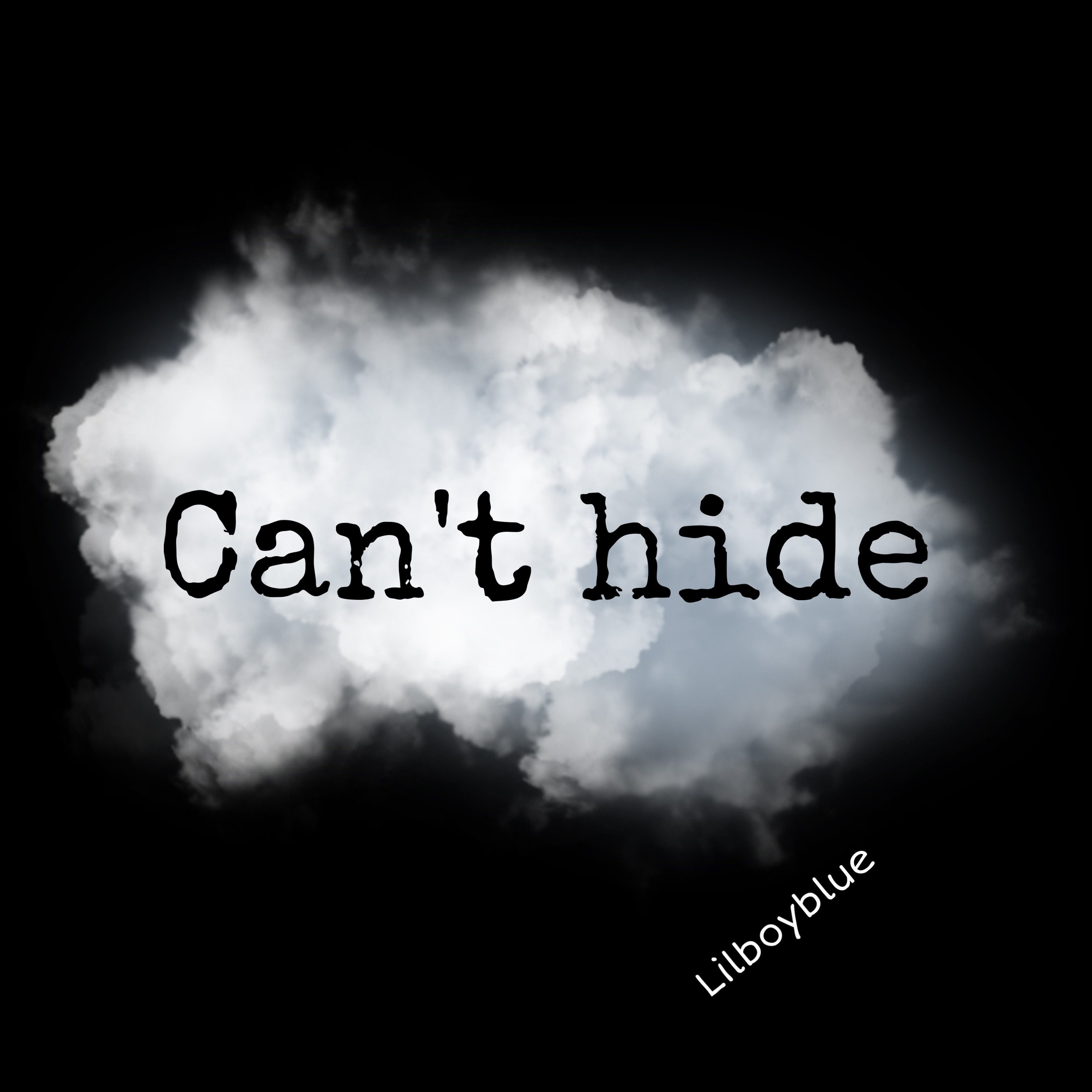 Can’t Hide artwork