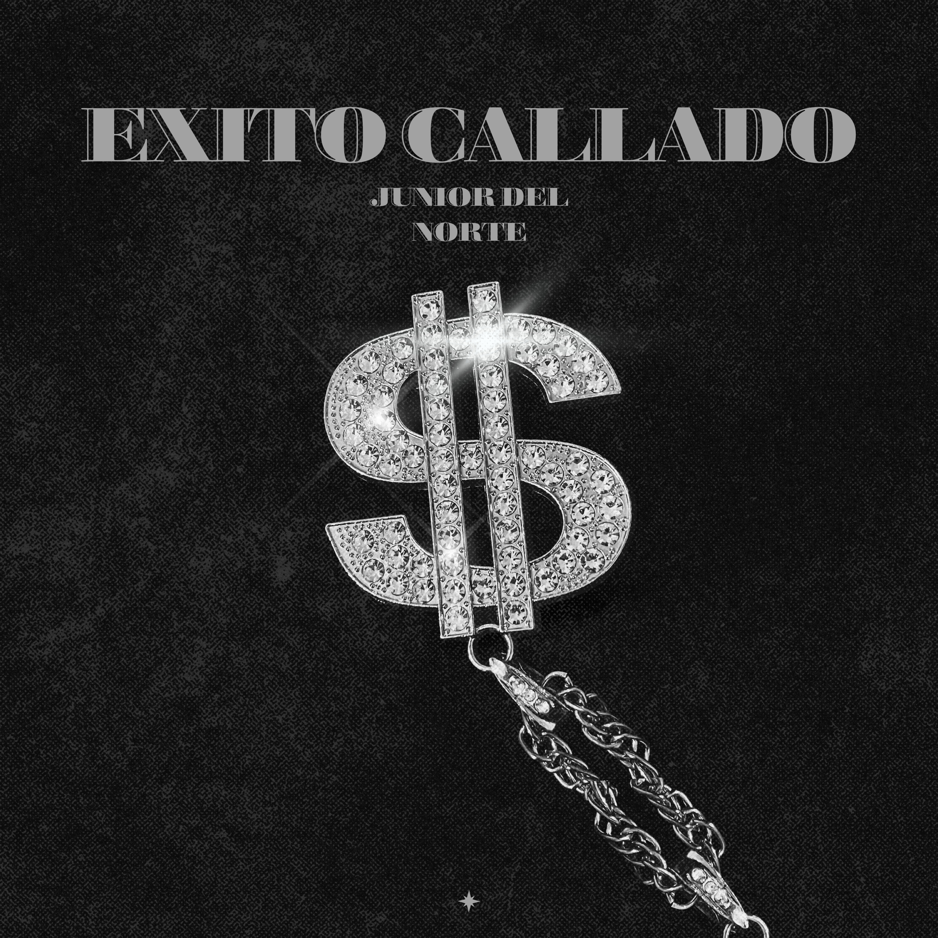 Exito Callado by Junior del Norte cover art