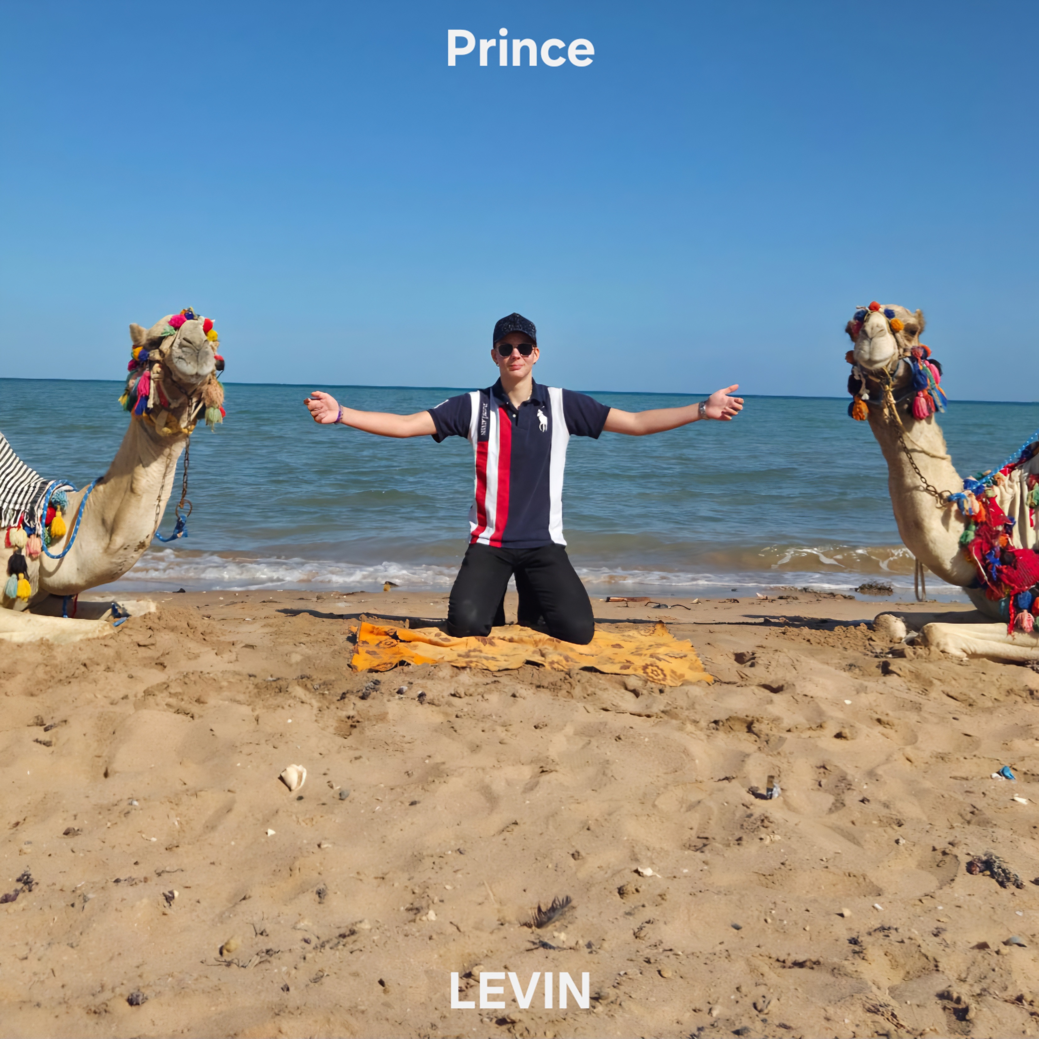 Prince artwork