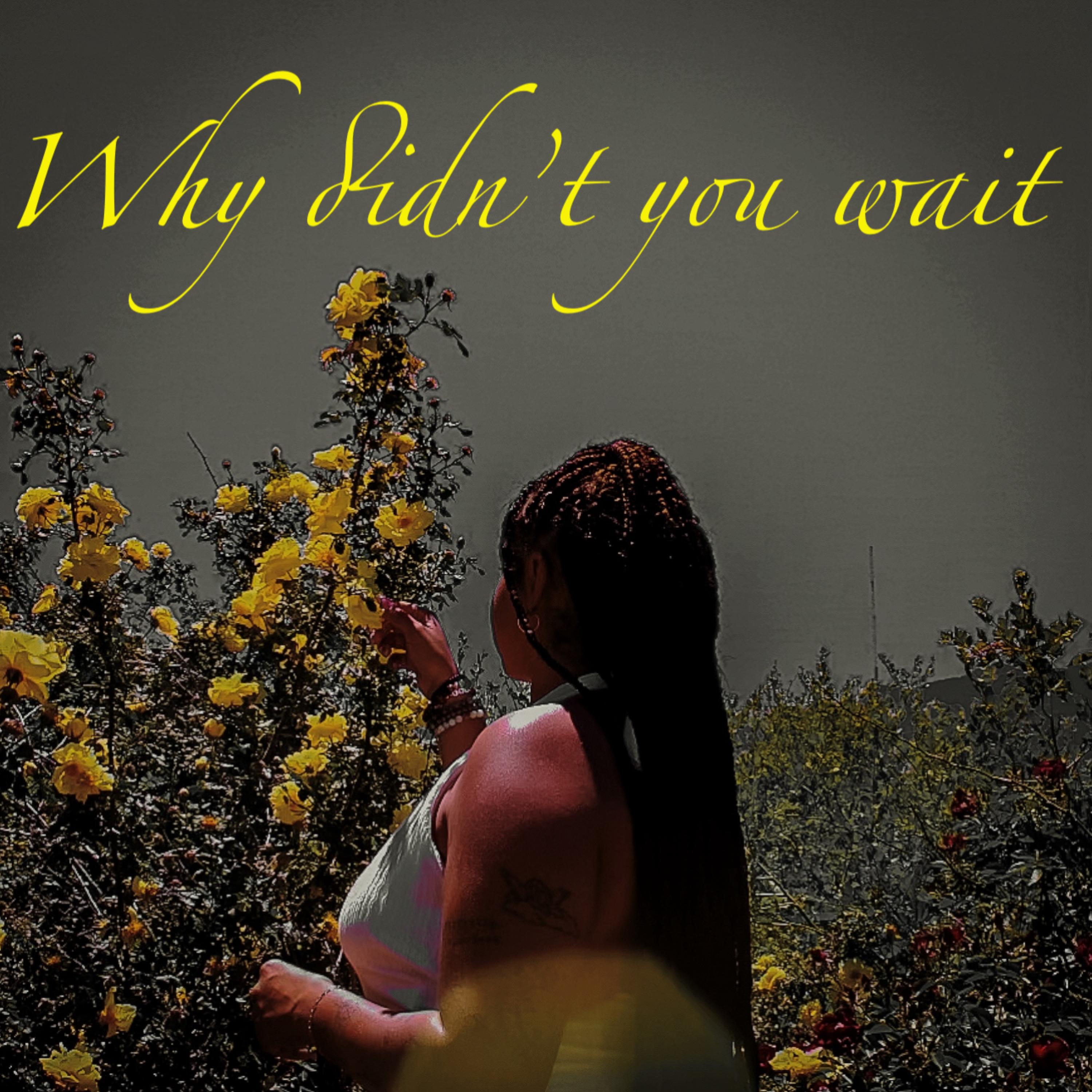 Why Didn’t You Wait by Stimeyyy cover art