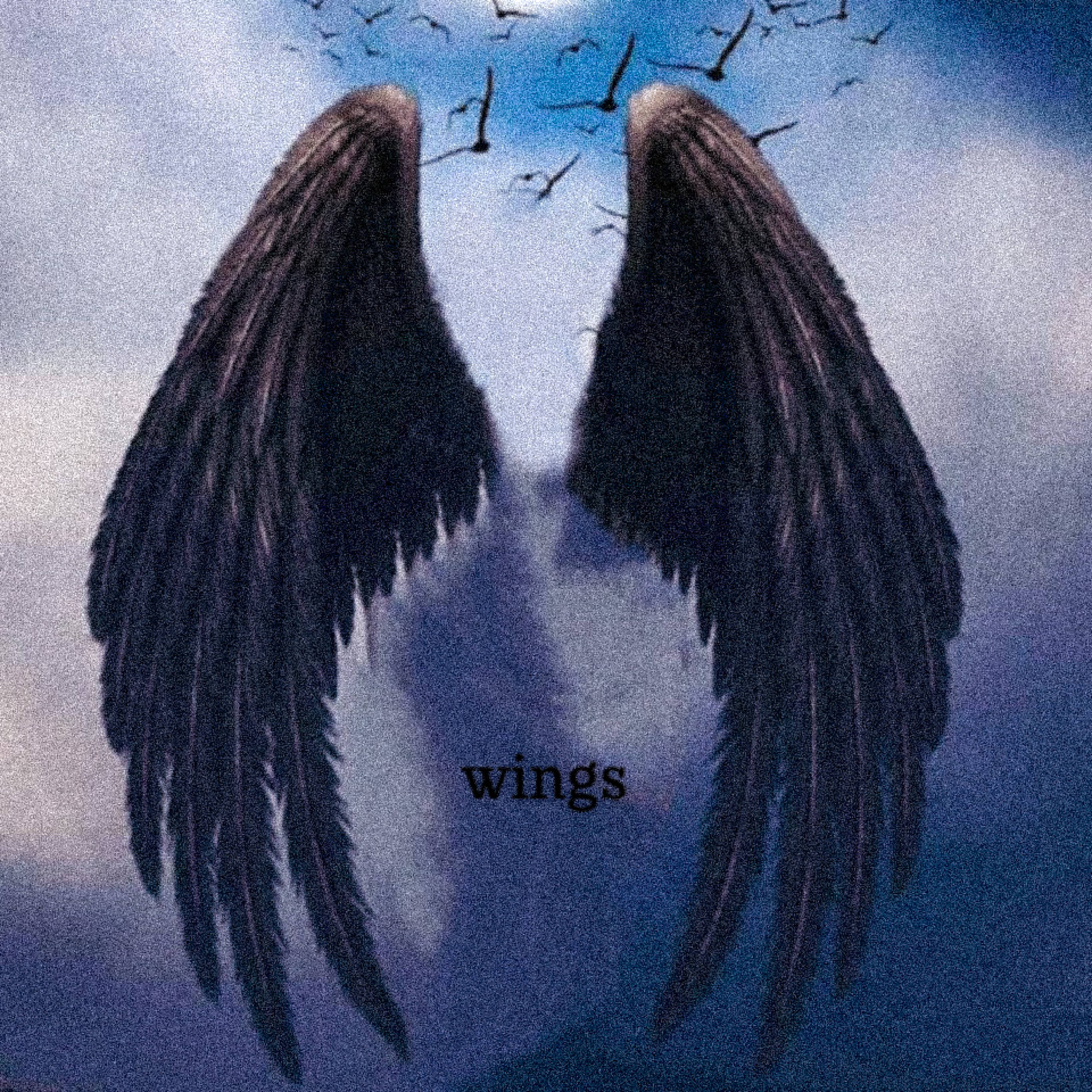 wings artwork
