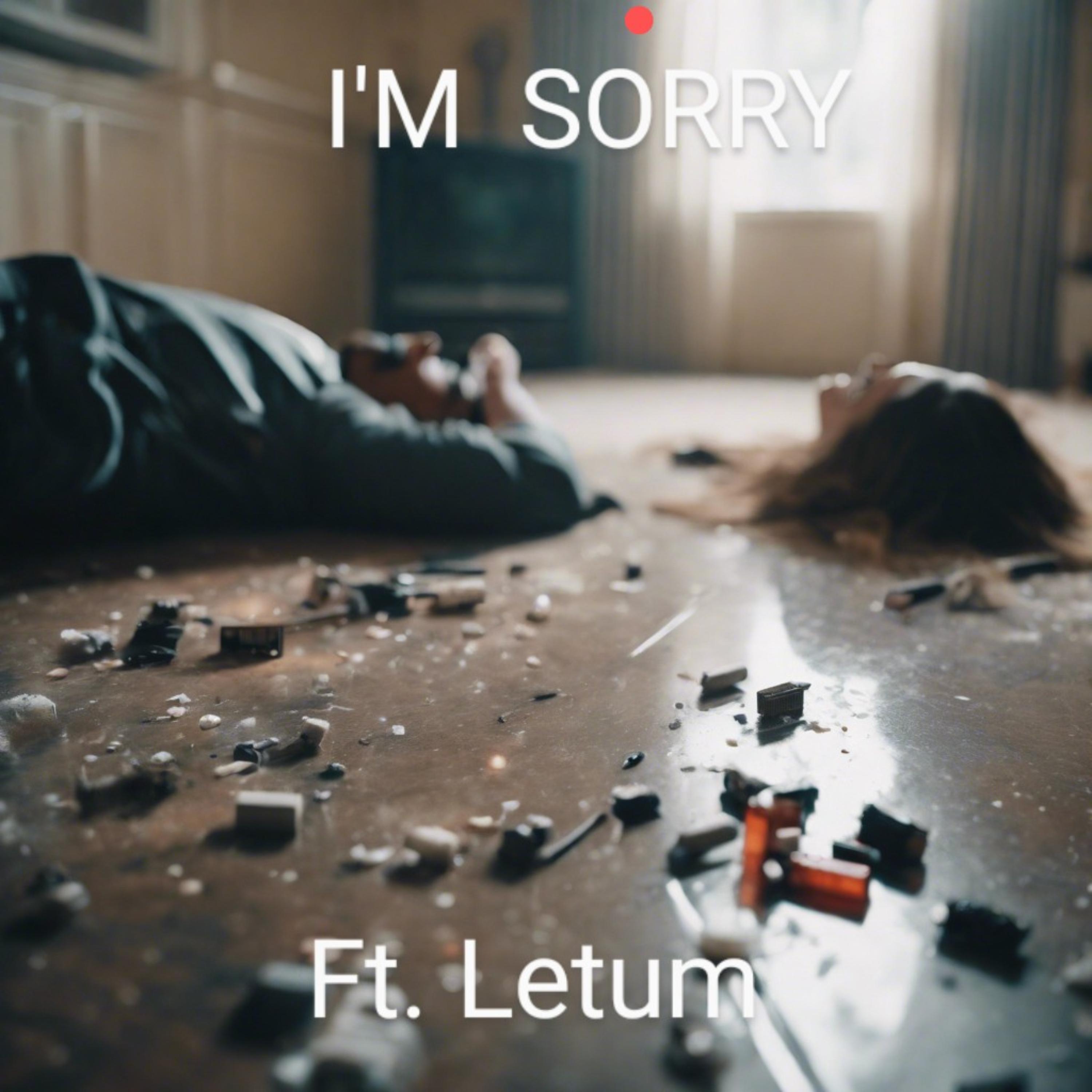 I'm sorry artwork