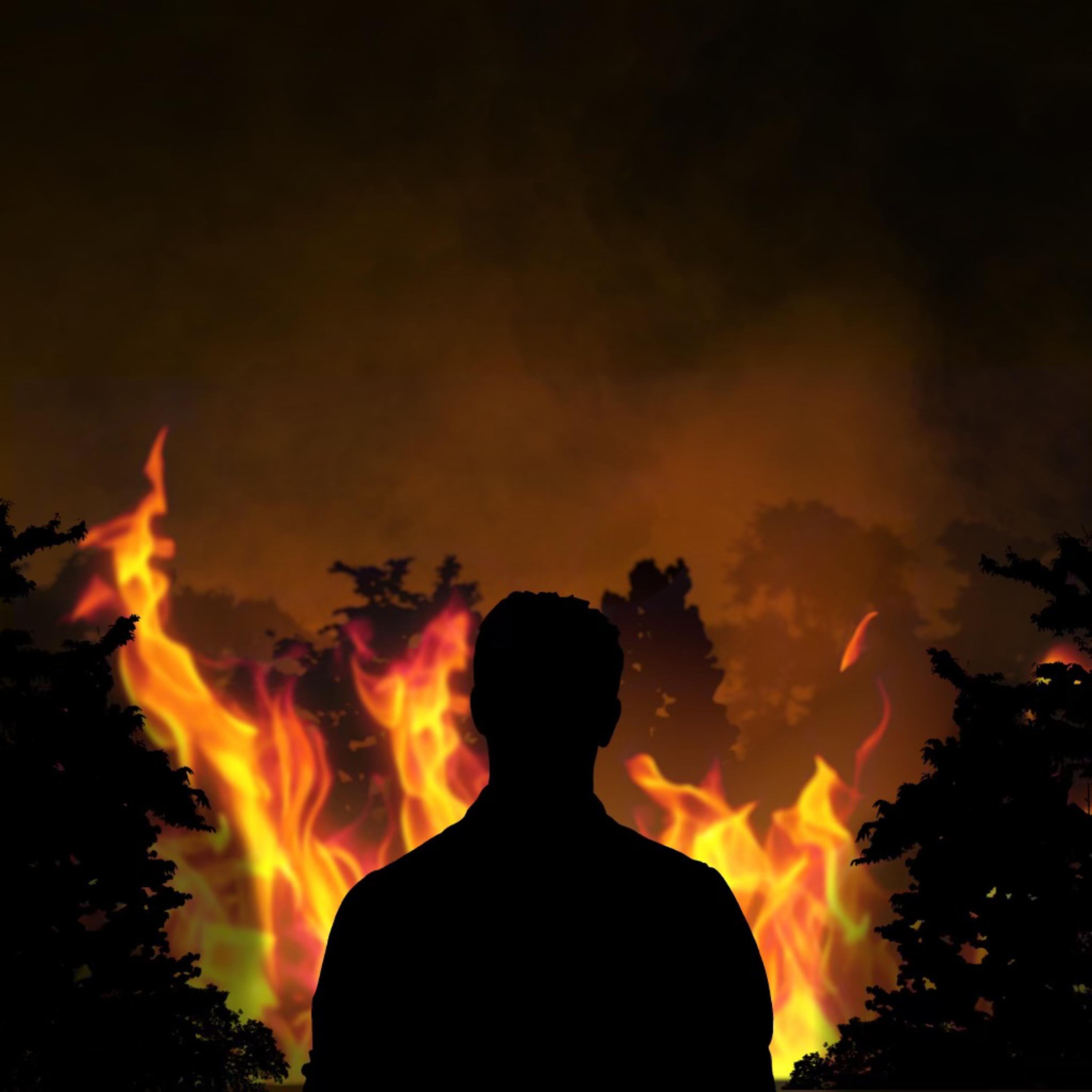 Fire Within artwork