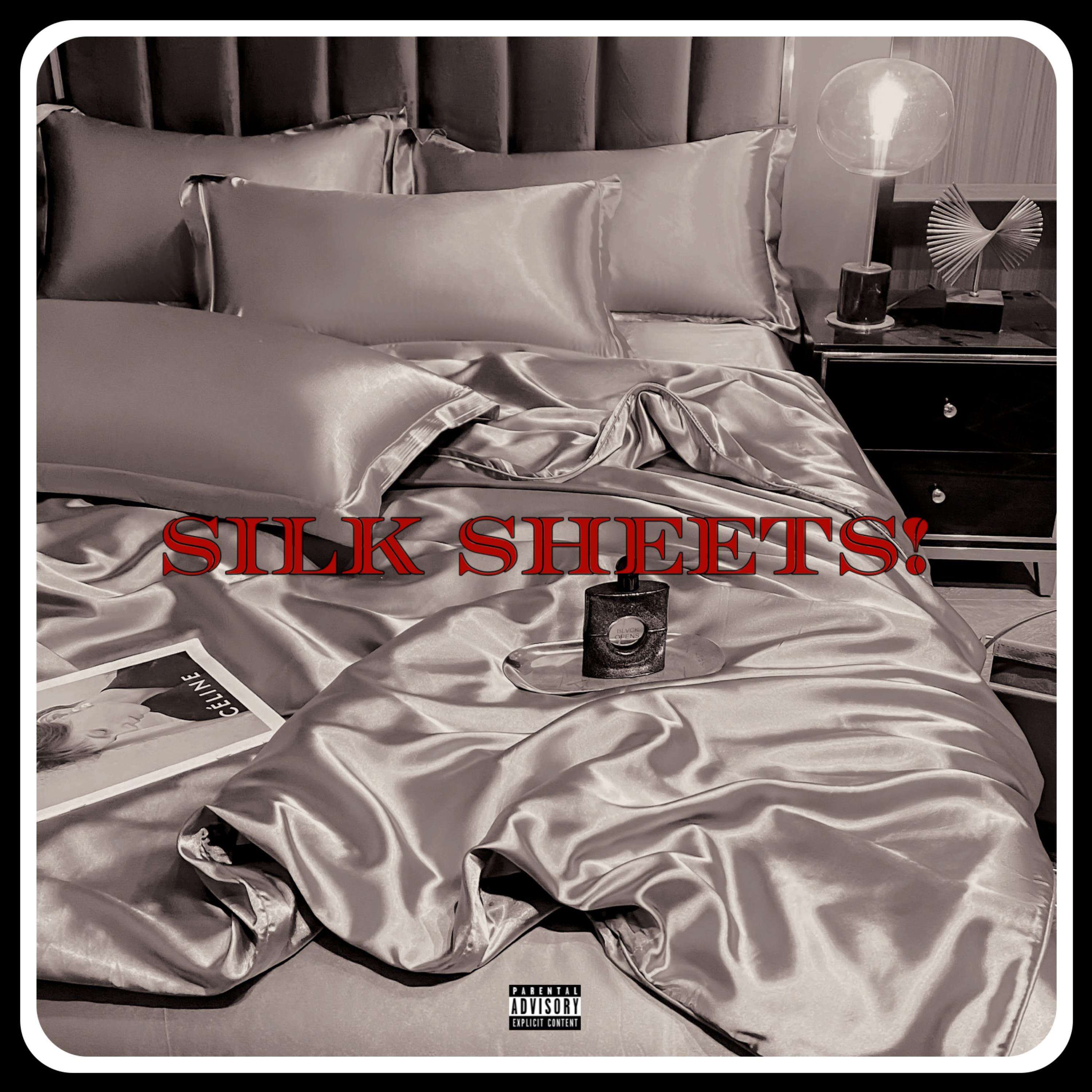 silk sheets! artwork