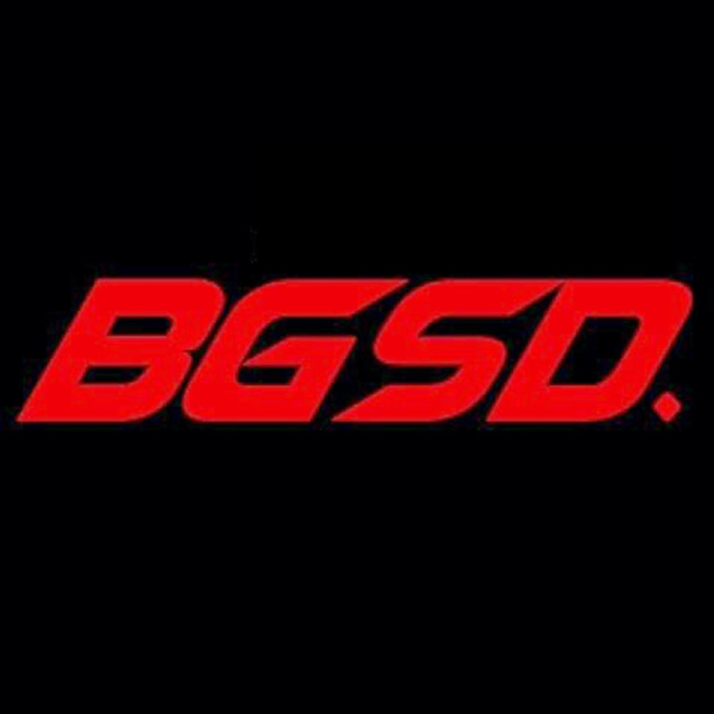BGSD. artwork