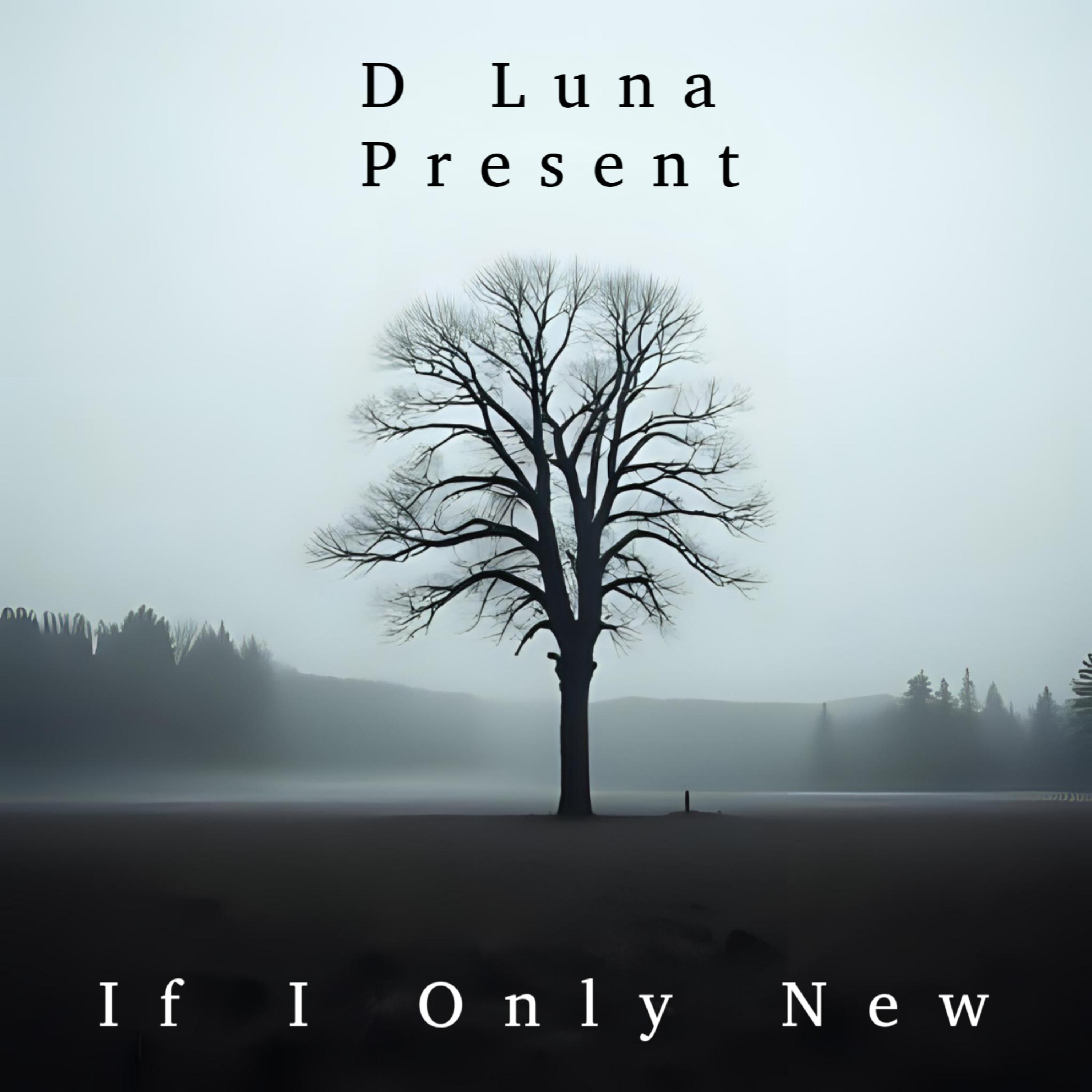 If Only I New artwork