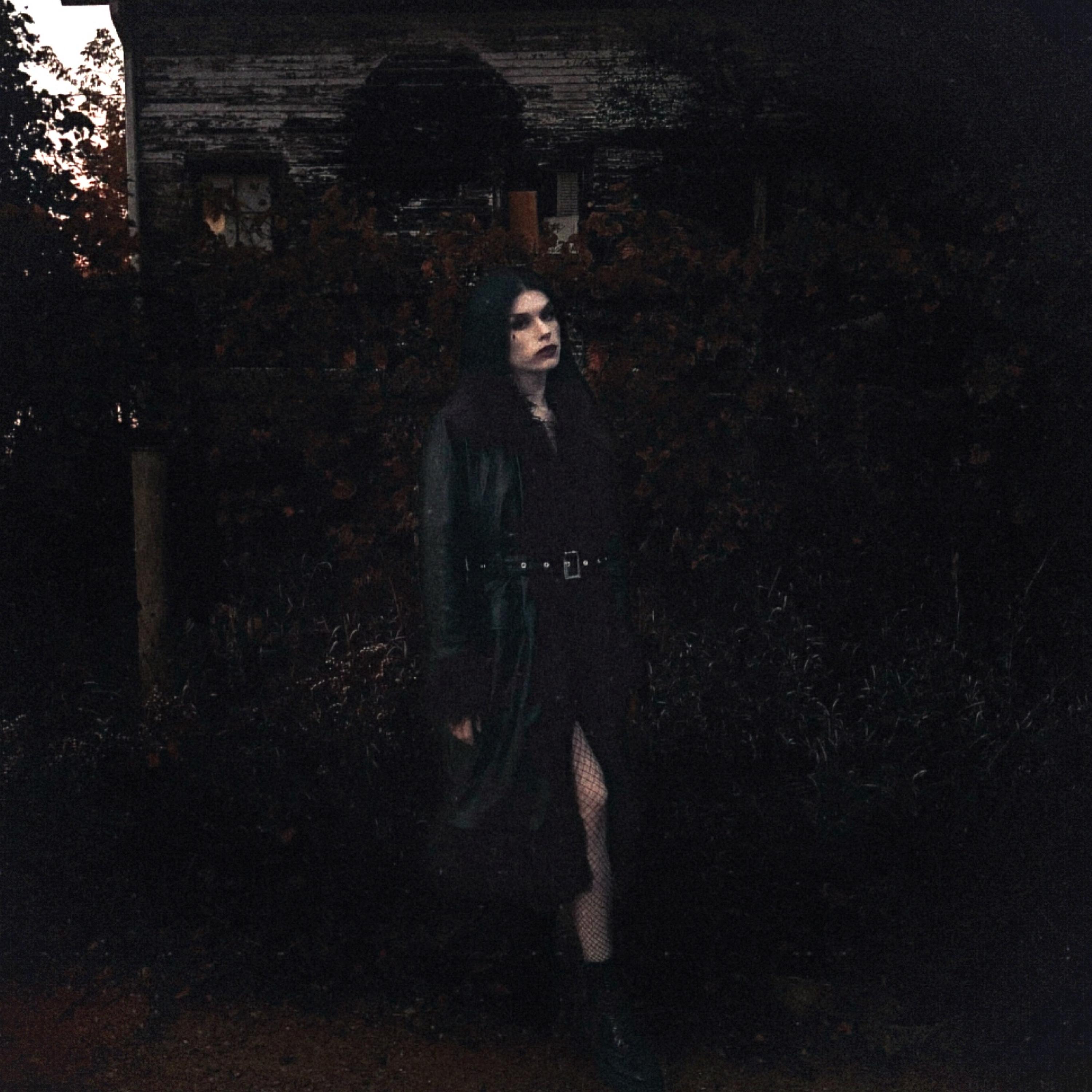 WE DIE ALONE artwork