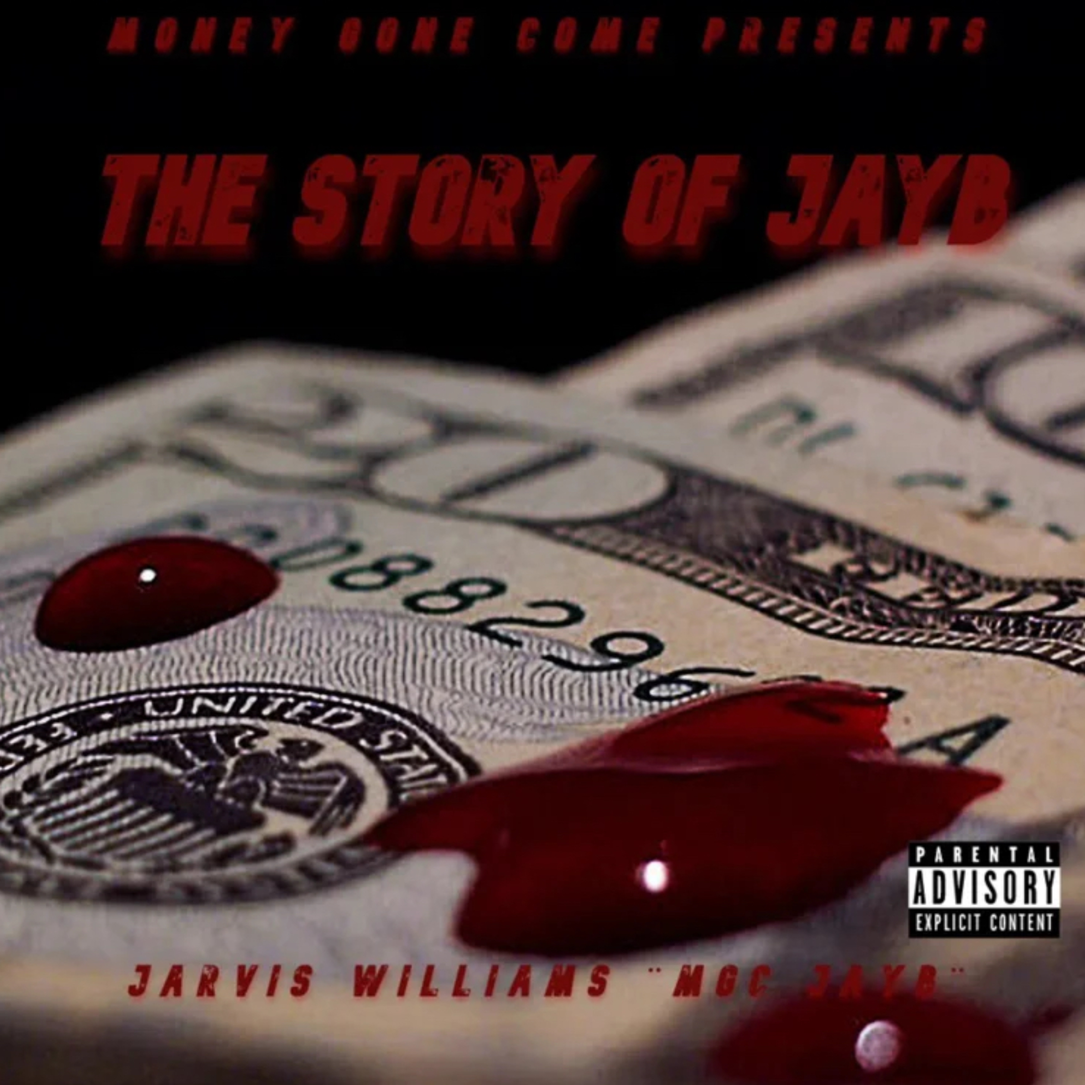 The Story Of JayB artwork