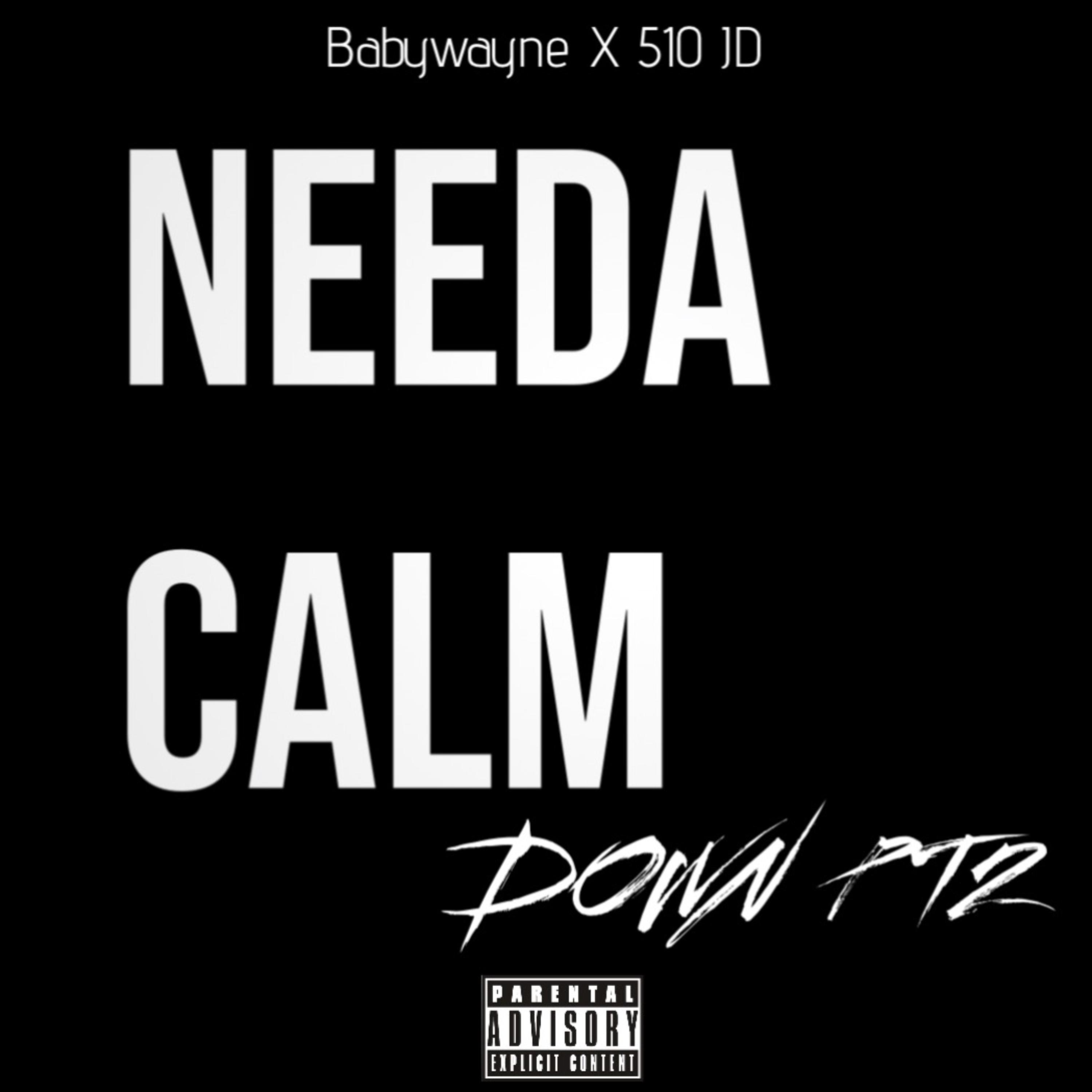 NEDA CALM DOWN PT2 artwork