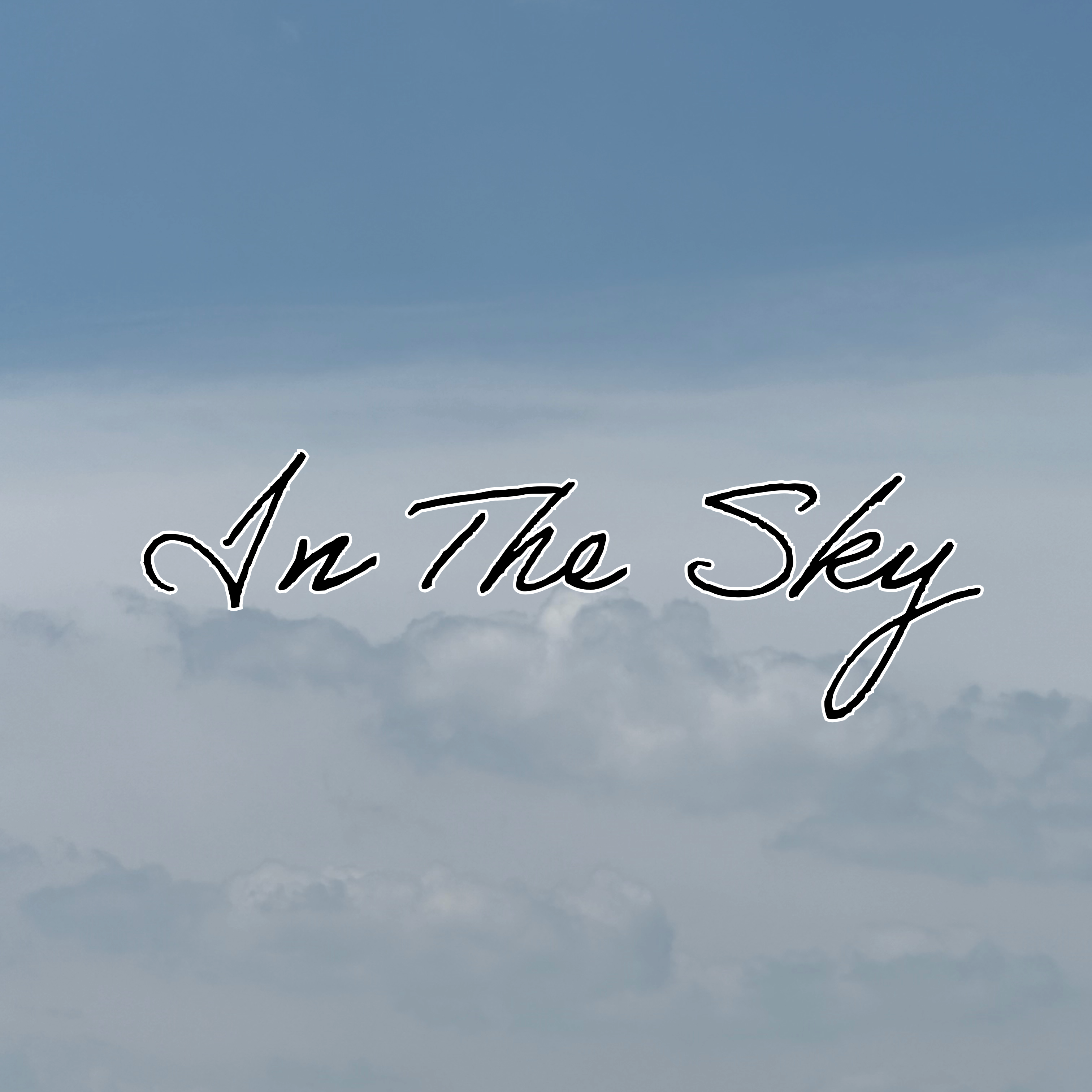 In The Sky by Brayden Canizo cover art