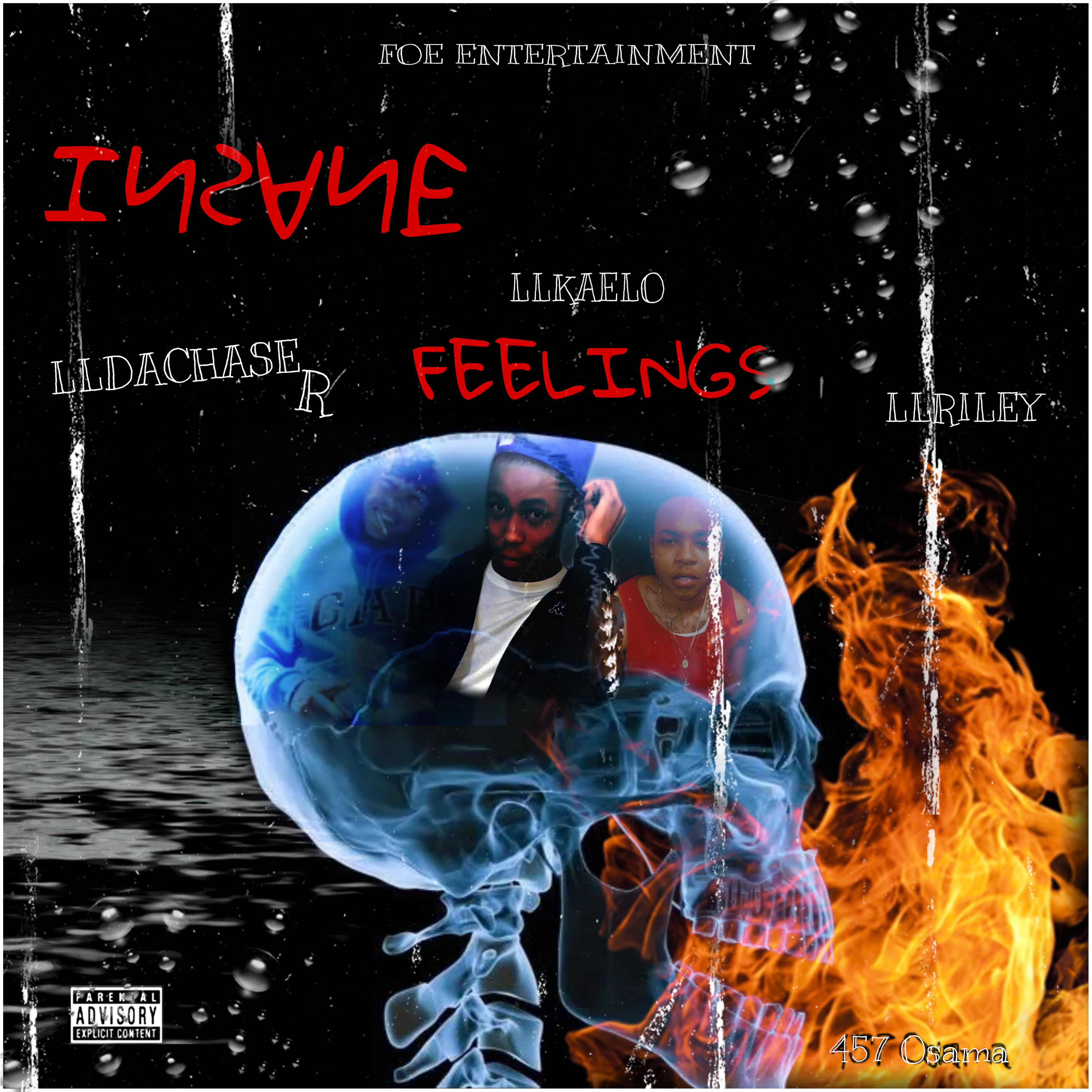 ( Insane Feeling's )Album artwork