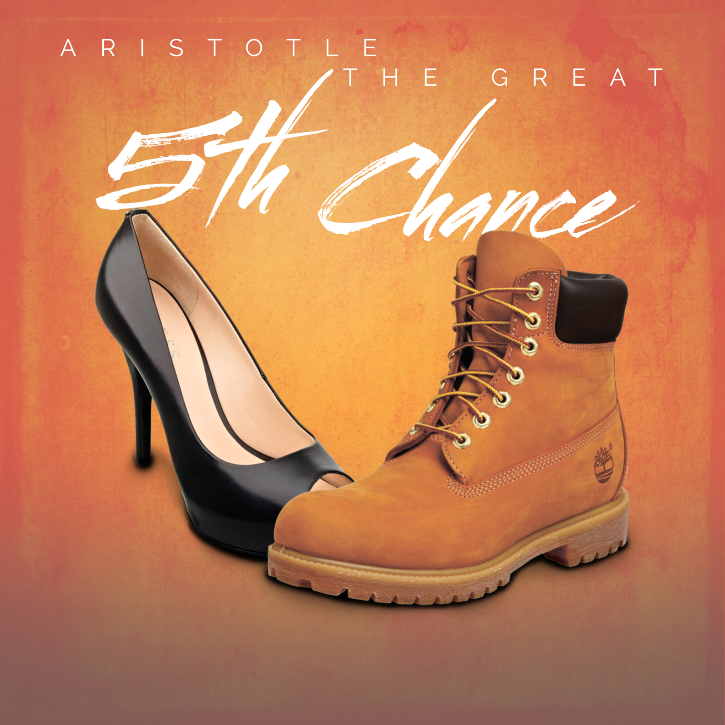 5th Chance artwork