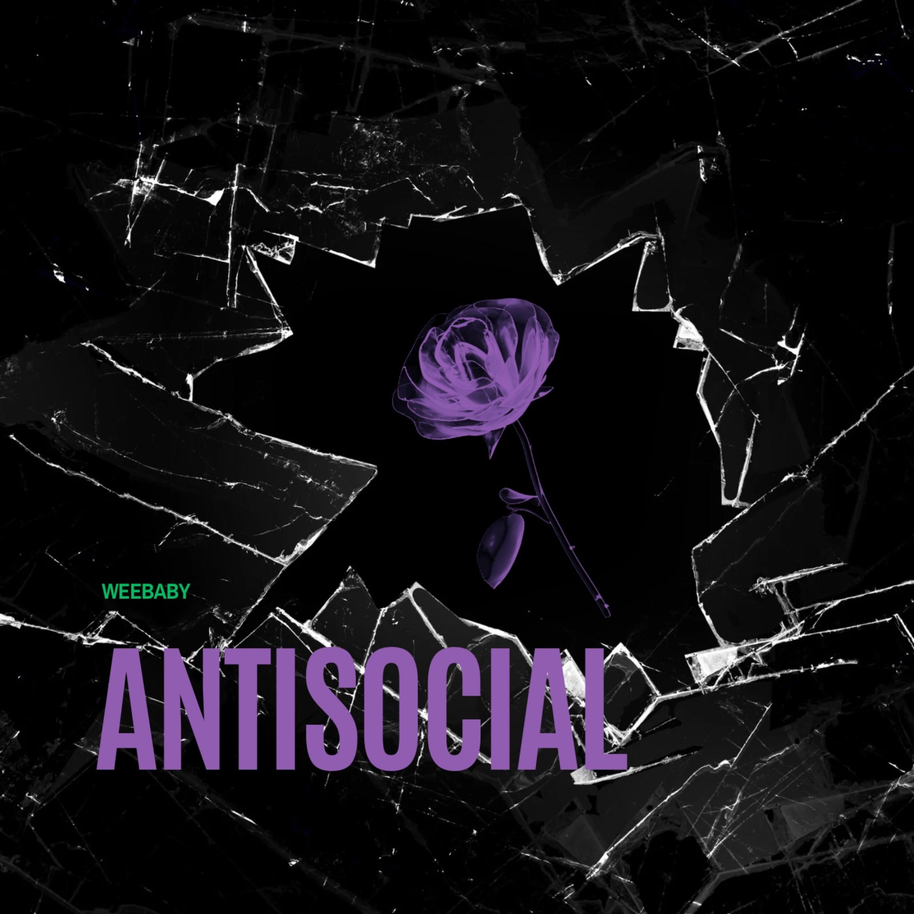 Antisocial artwork