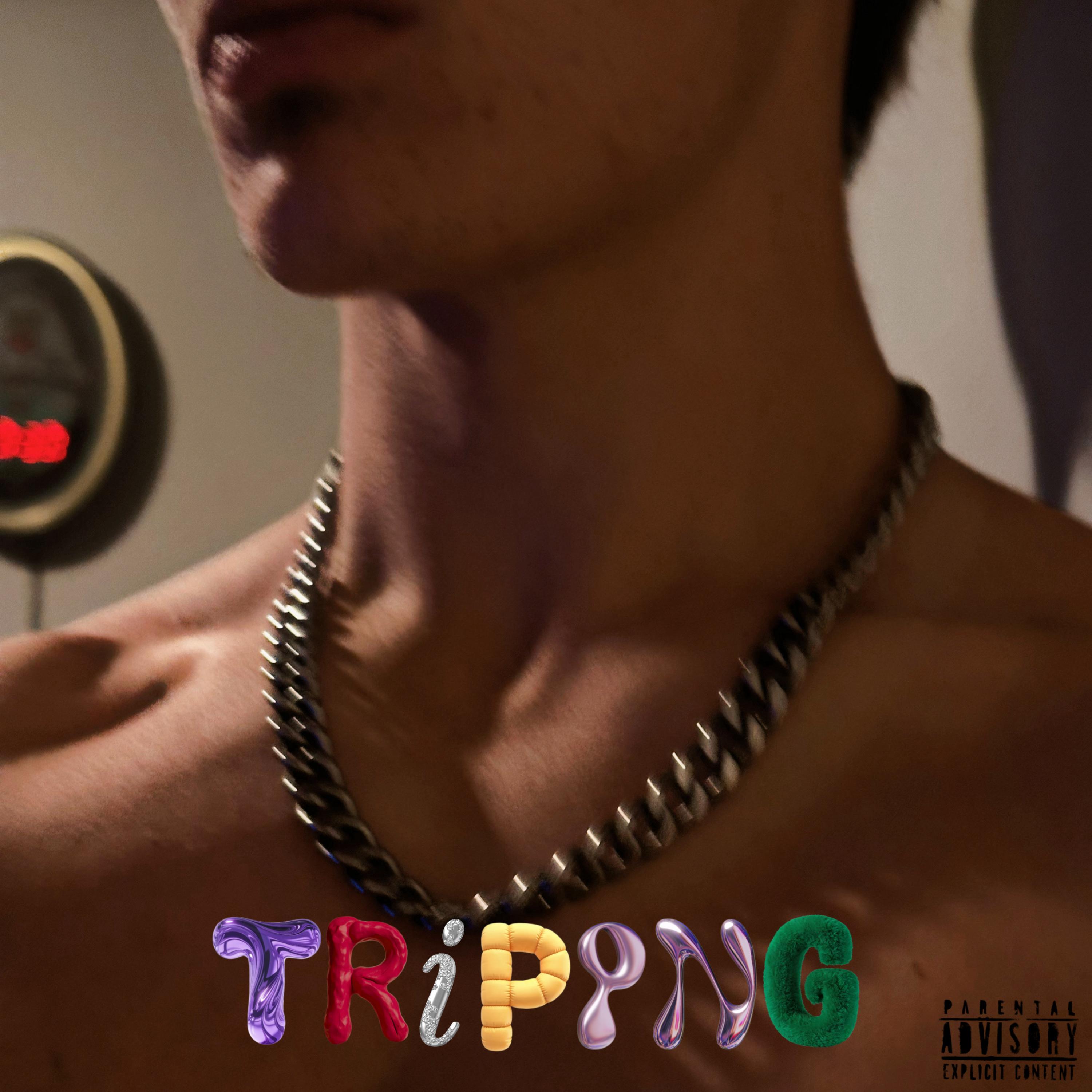 Tripping For A Reason artwork