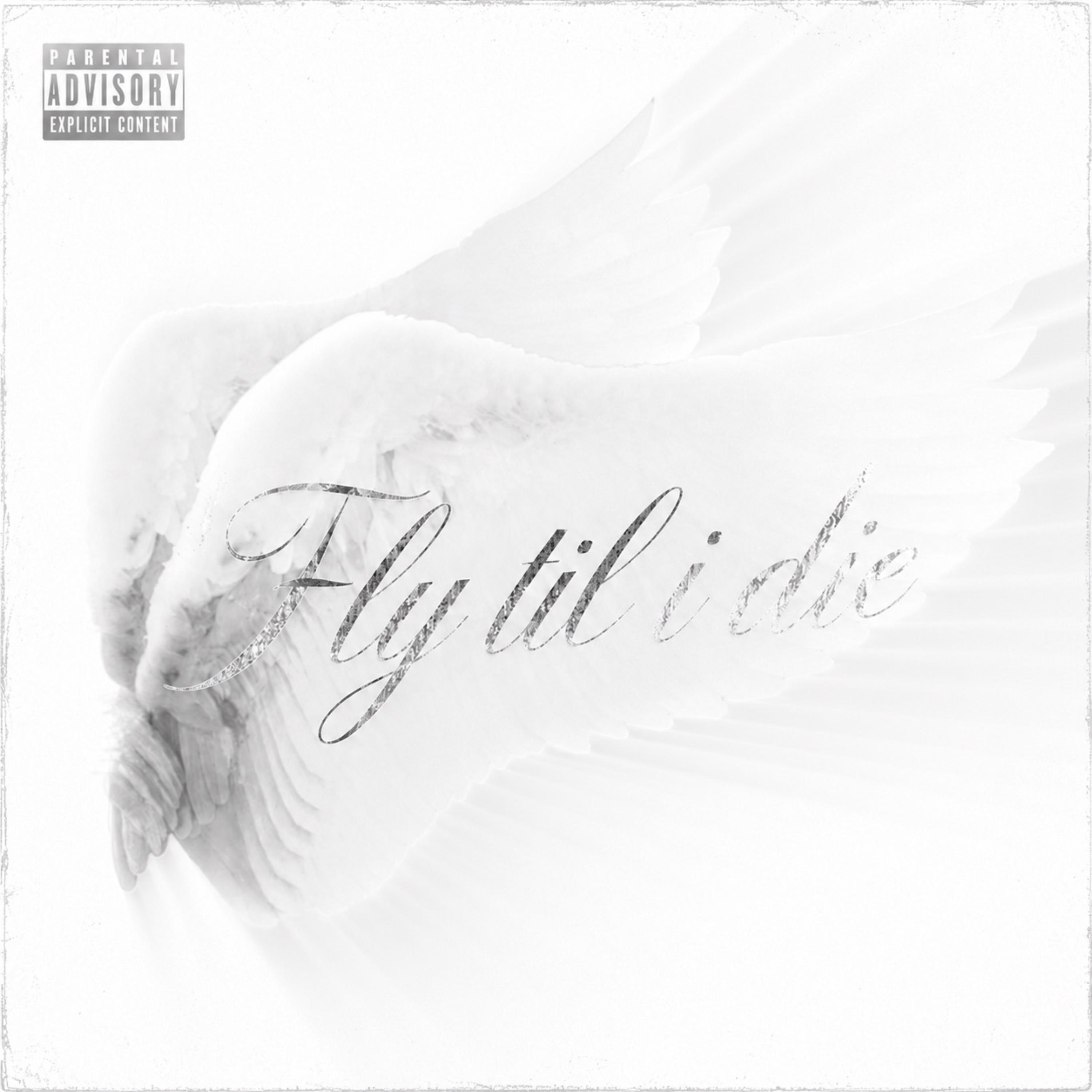 Fly til i die by Jabaritoofly cover art