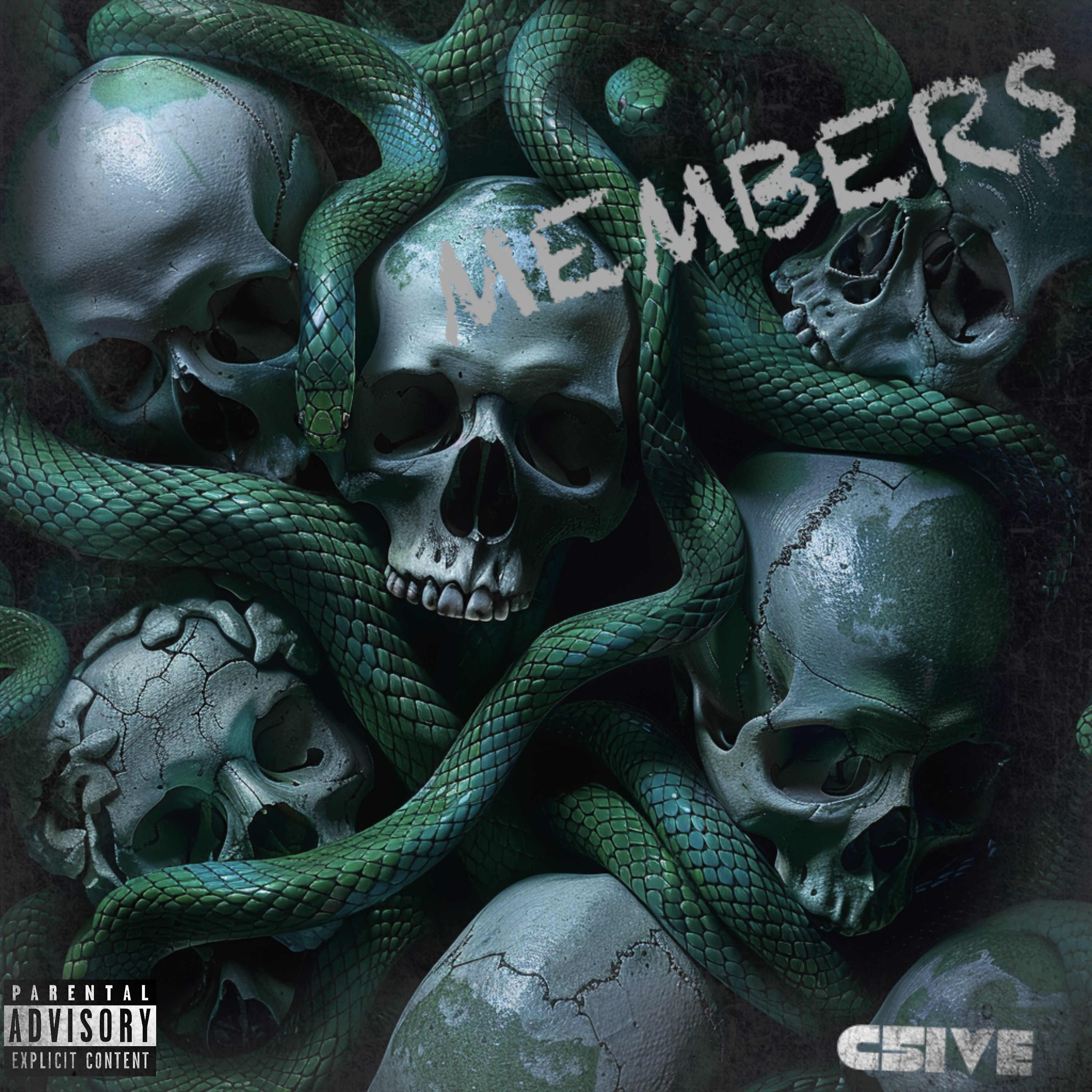 MEMBERS artwork