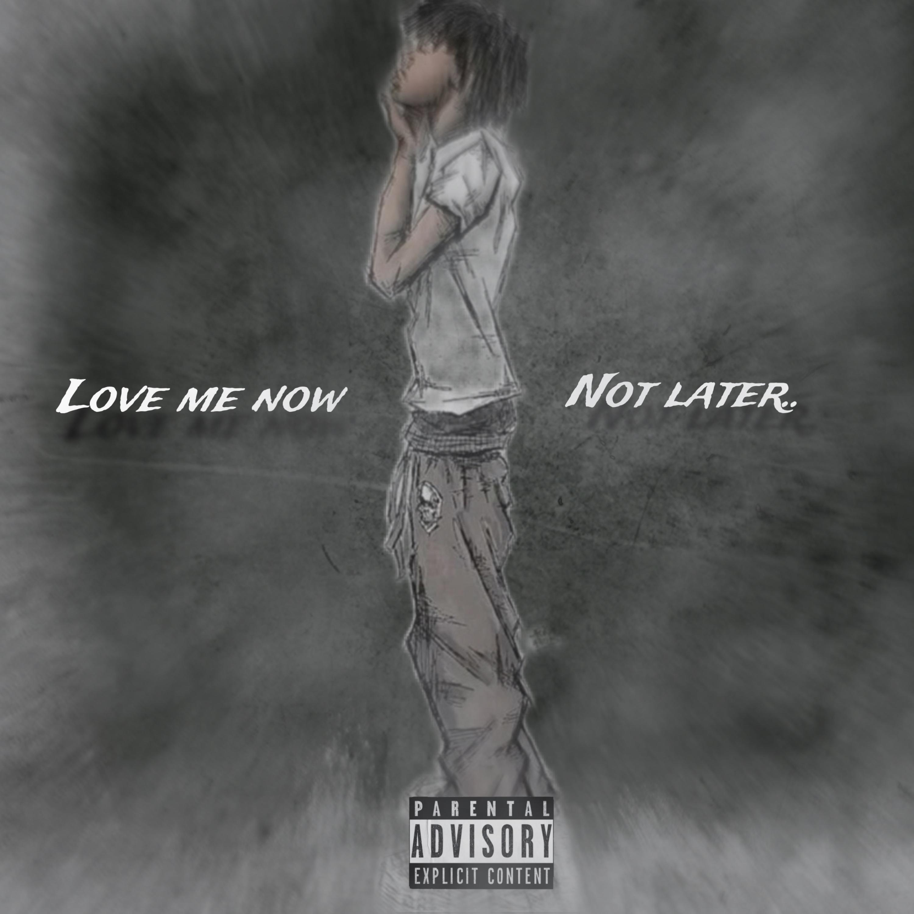 Love Me Now Not Later artwork
