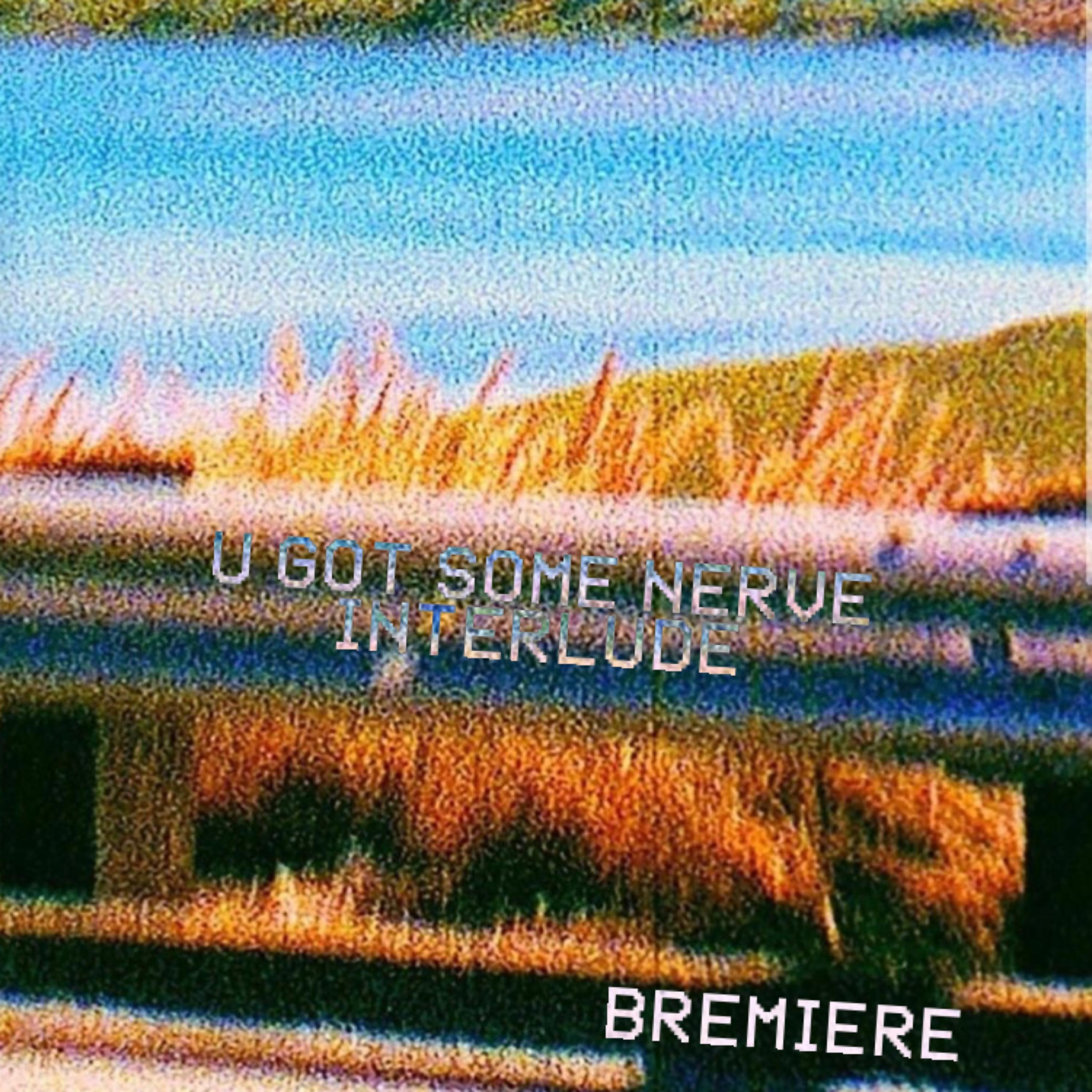 U Got Some Nerve Interlude artwork
