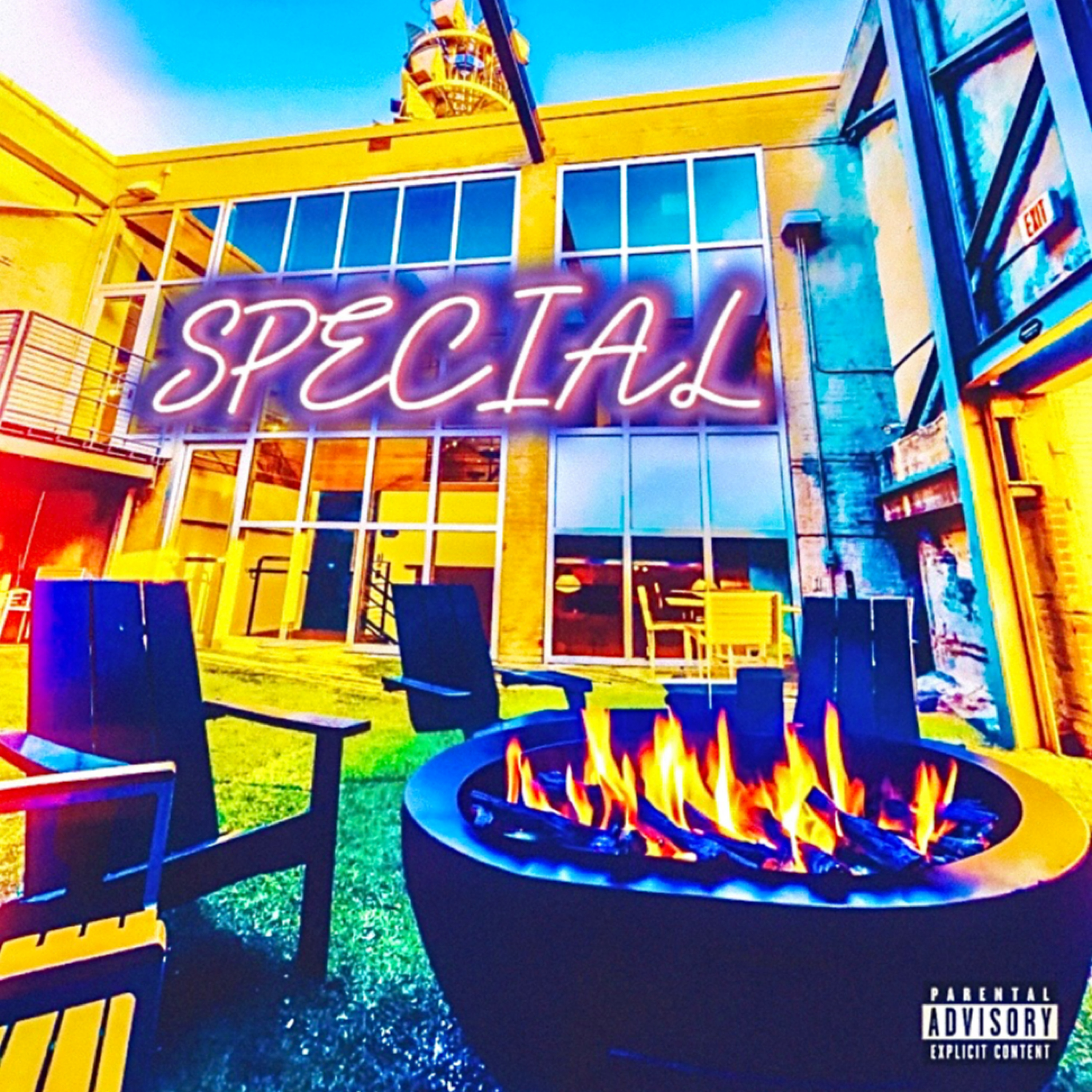 SPECIAL artwork