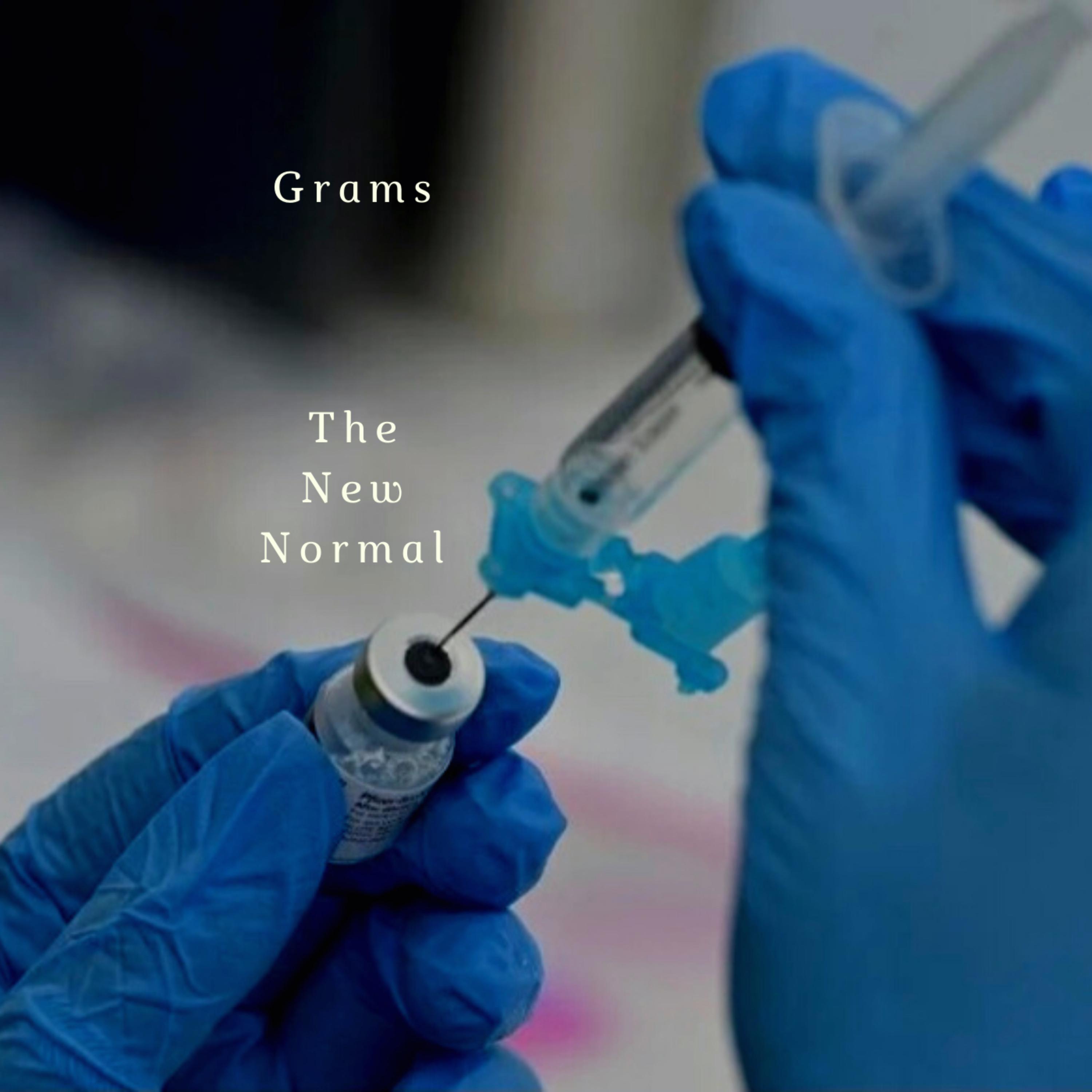 The New Normal artwork