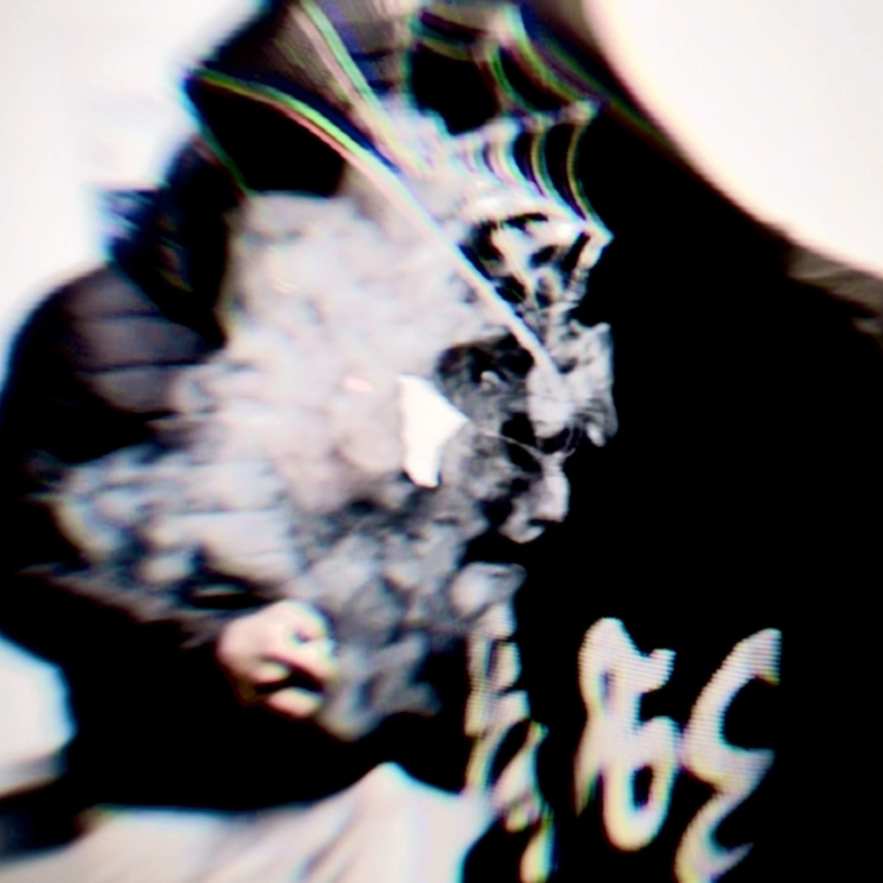 U BASTARD artwork
