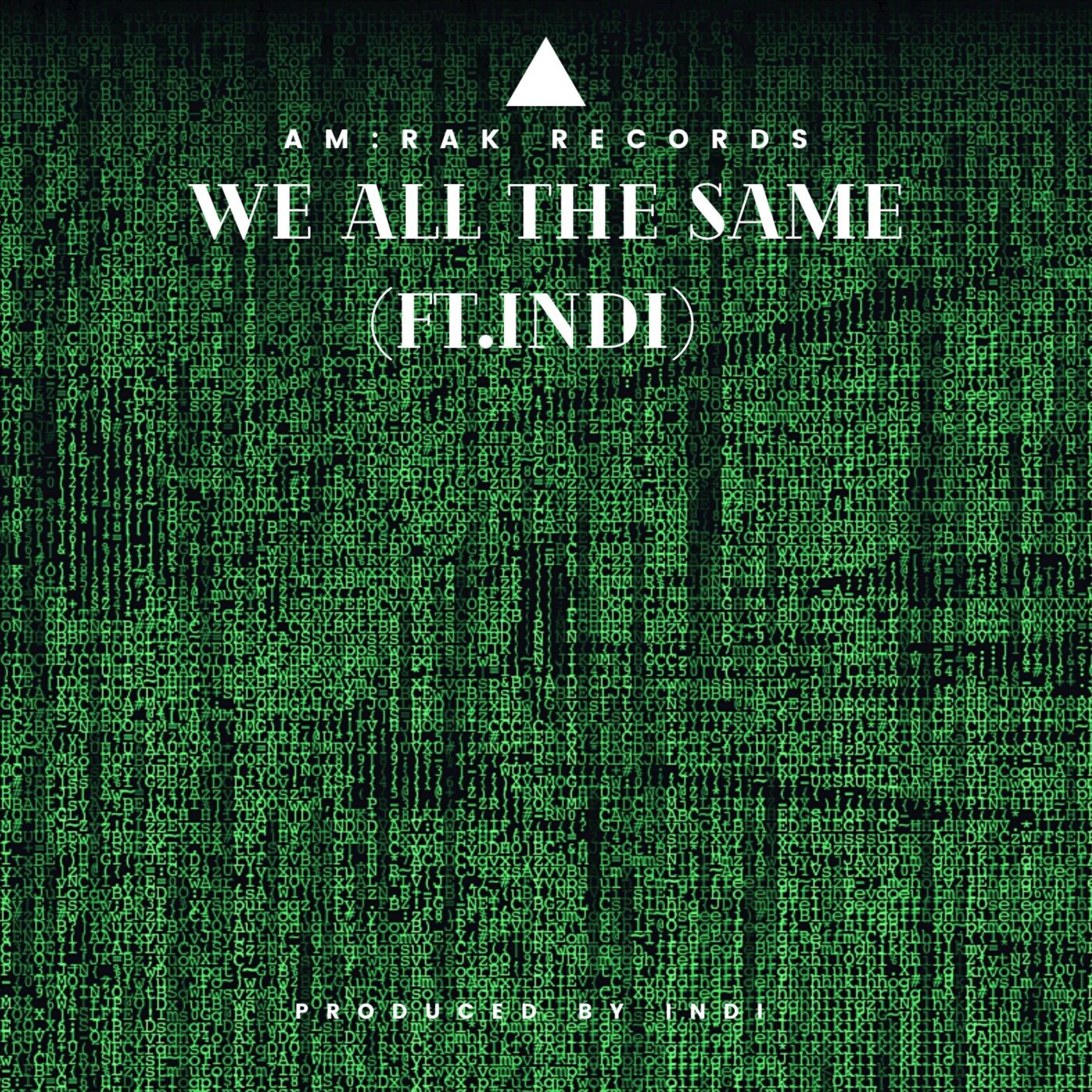 WE ALL THE SAME artwork