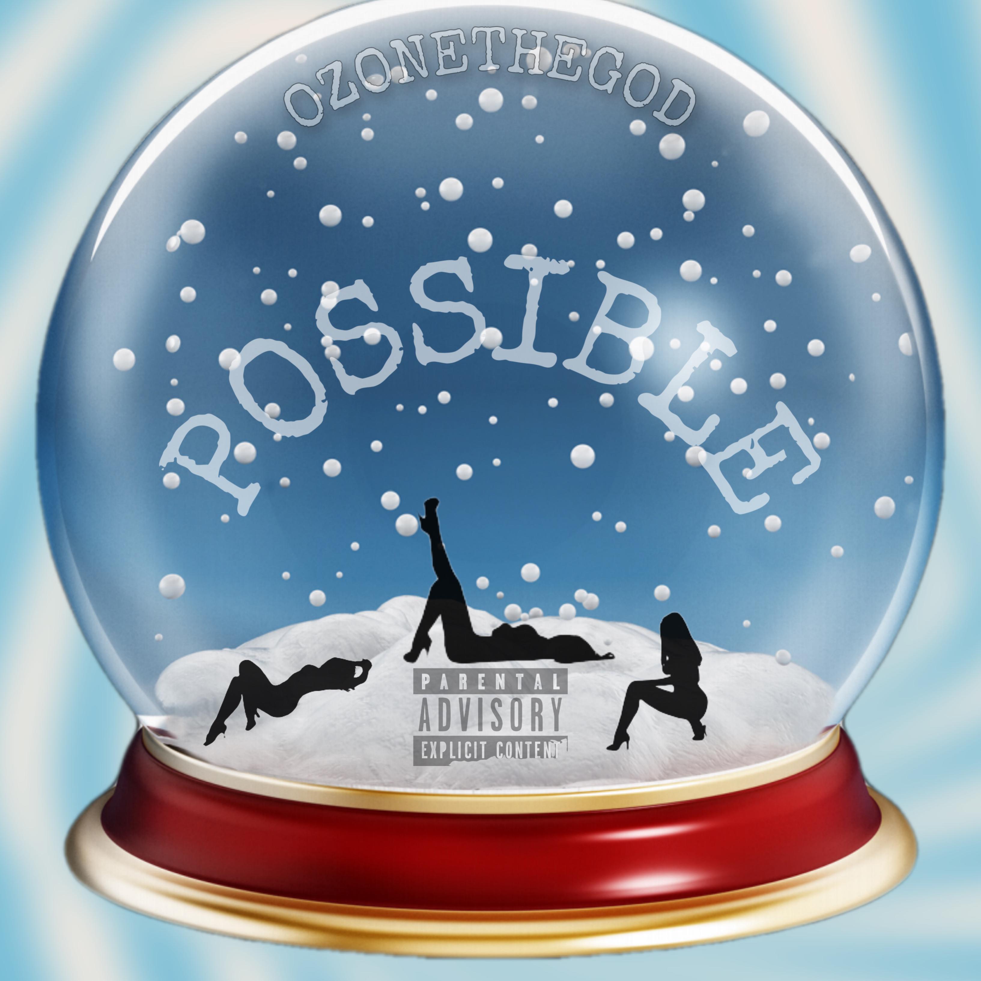 POSSIBLE artwork
