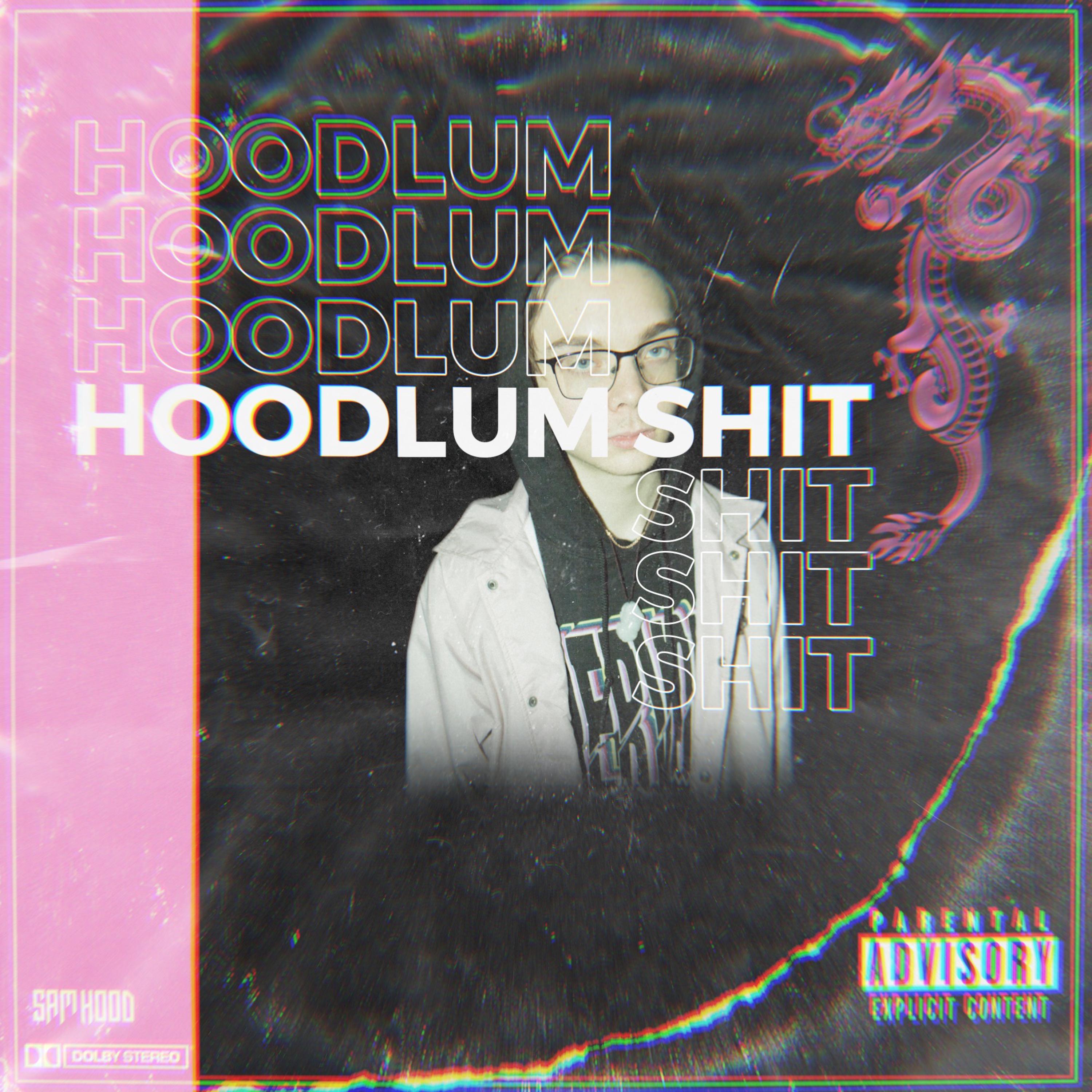HOODLUM SHIT artwork