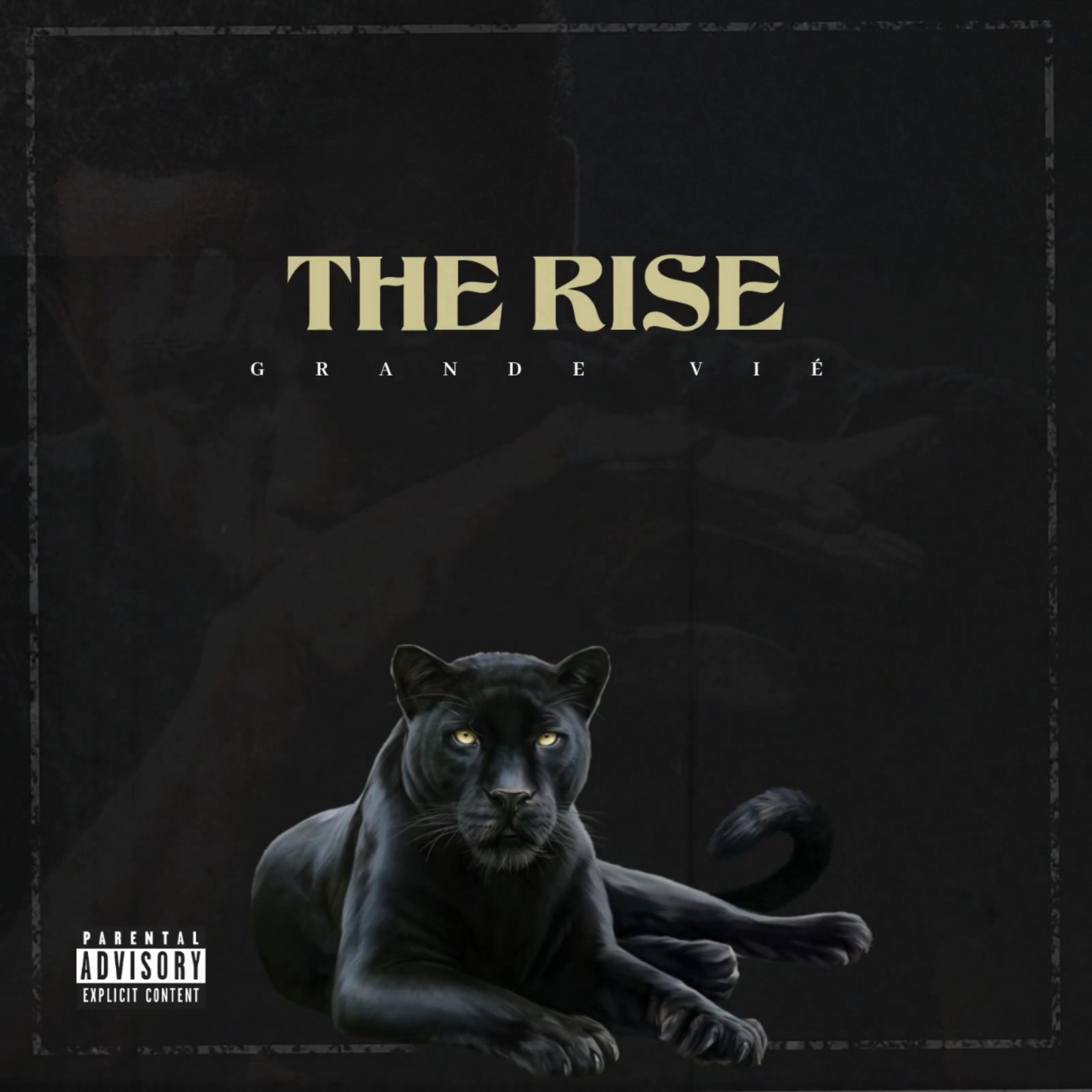 THE RISE artwork