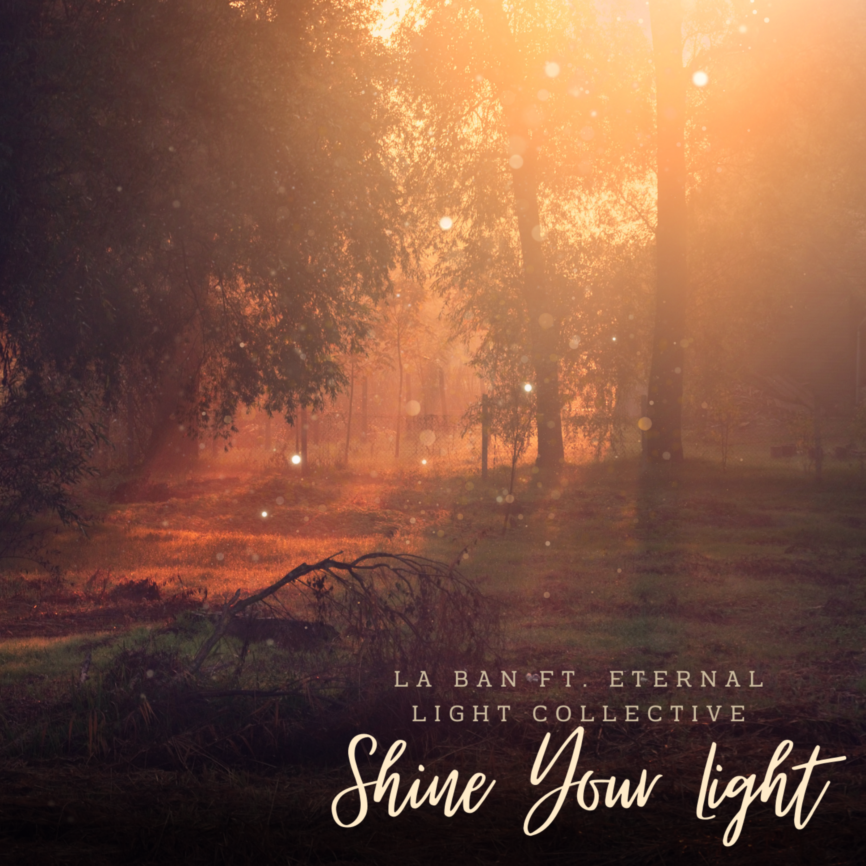 Shine Your Light artwork