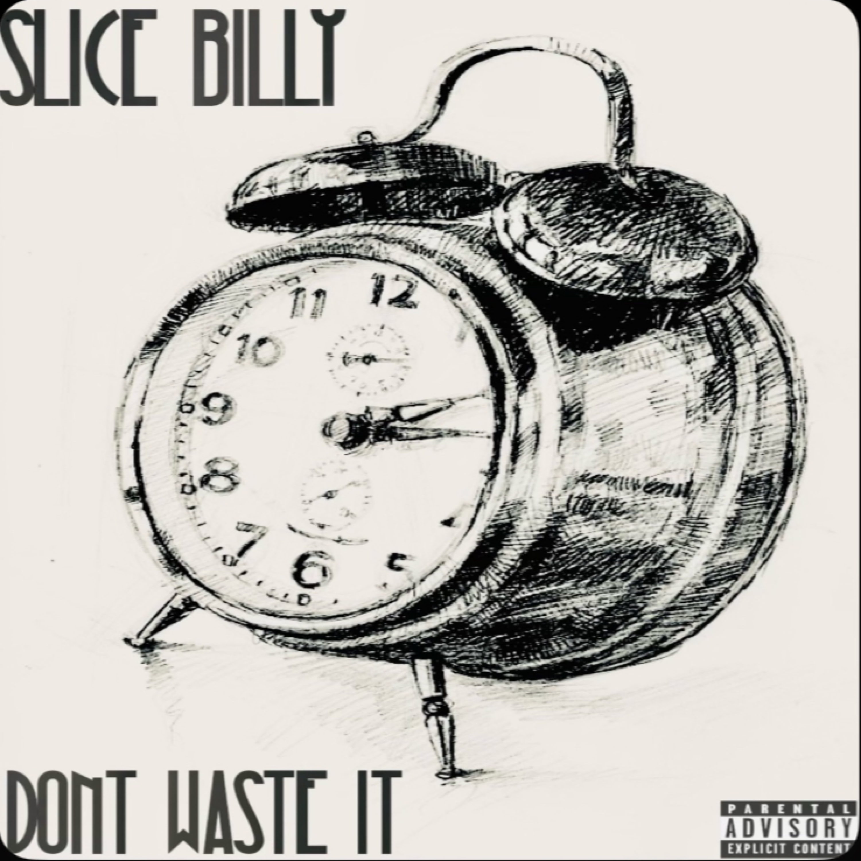 DONT WASTE IT artwork