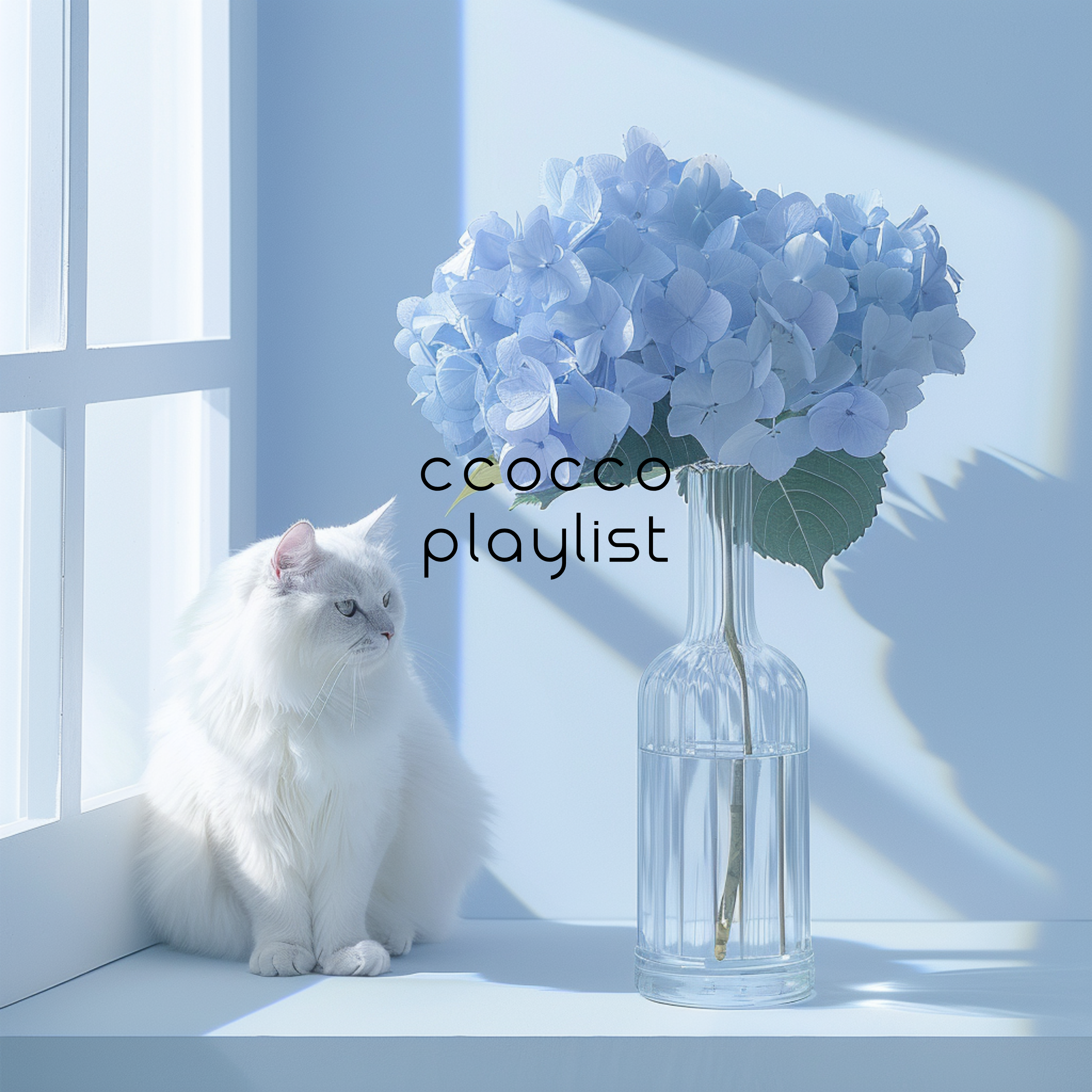 SOFT MOOD artwork
