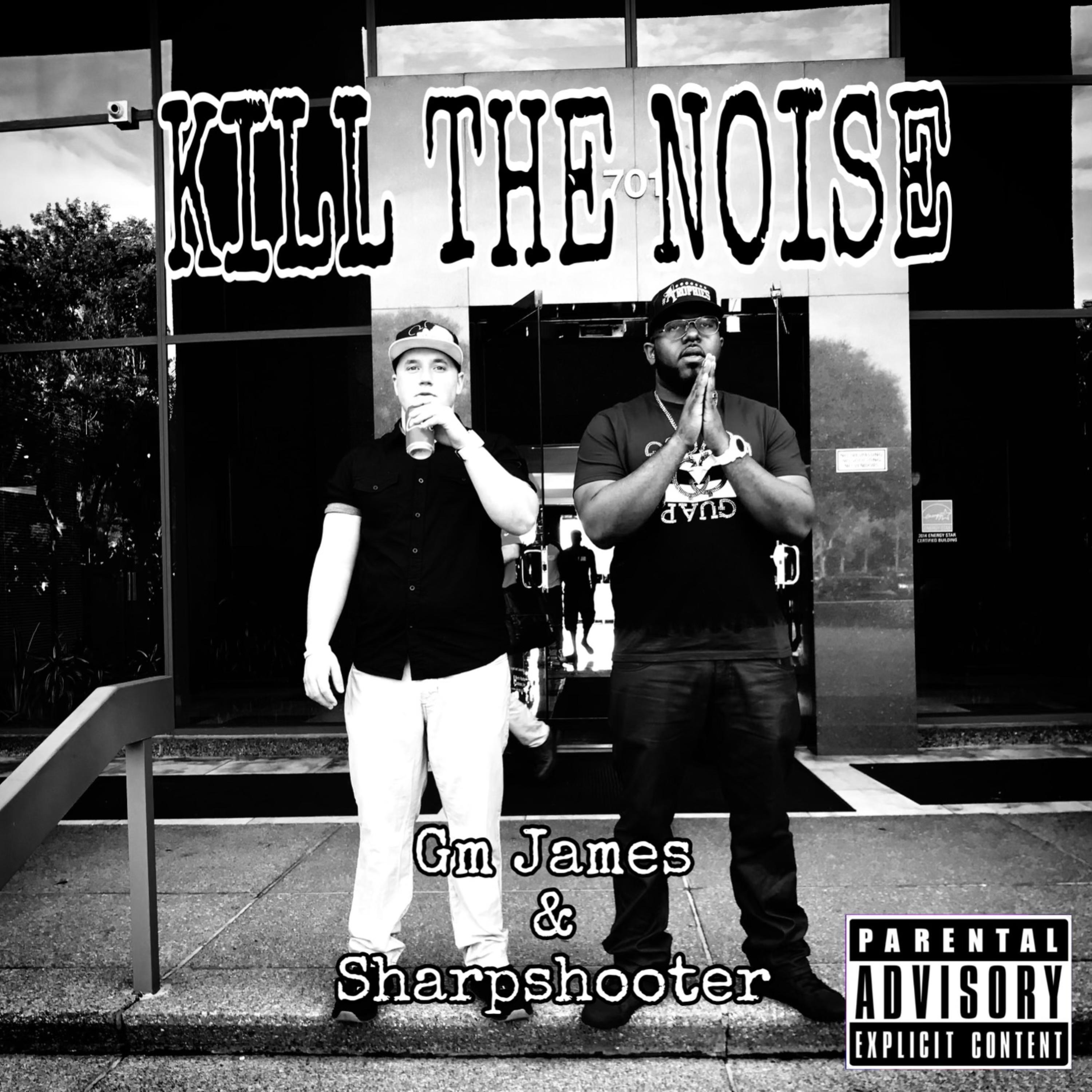 Kill The Noise artwork