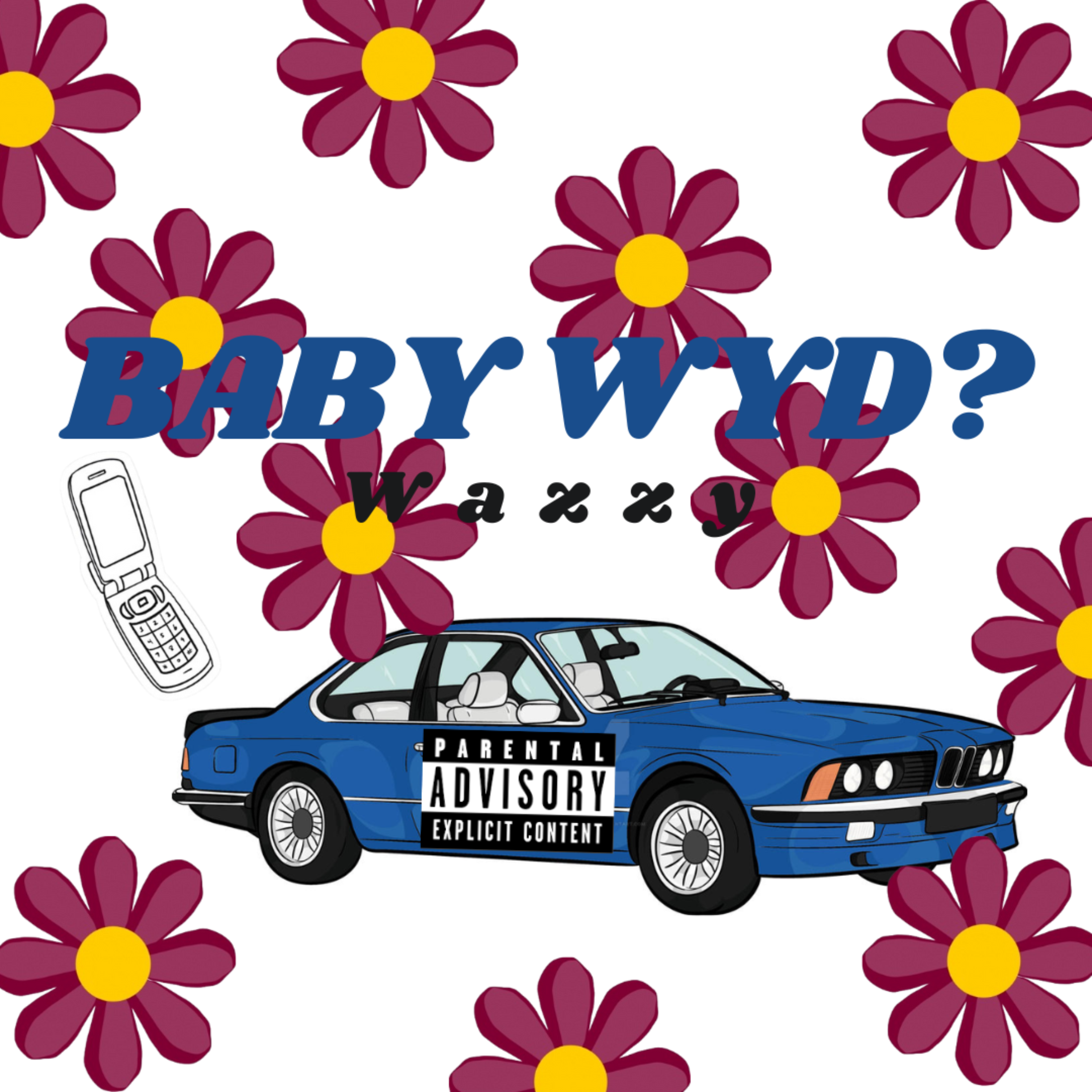 BABY WYD? artwork