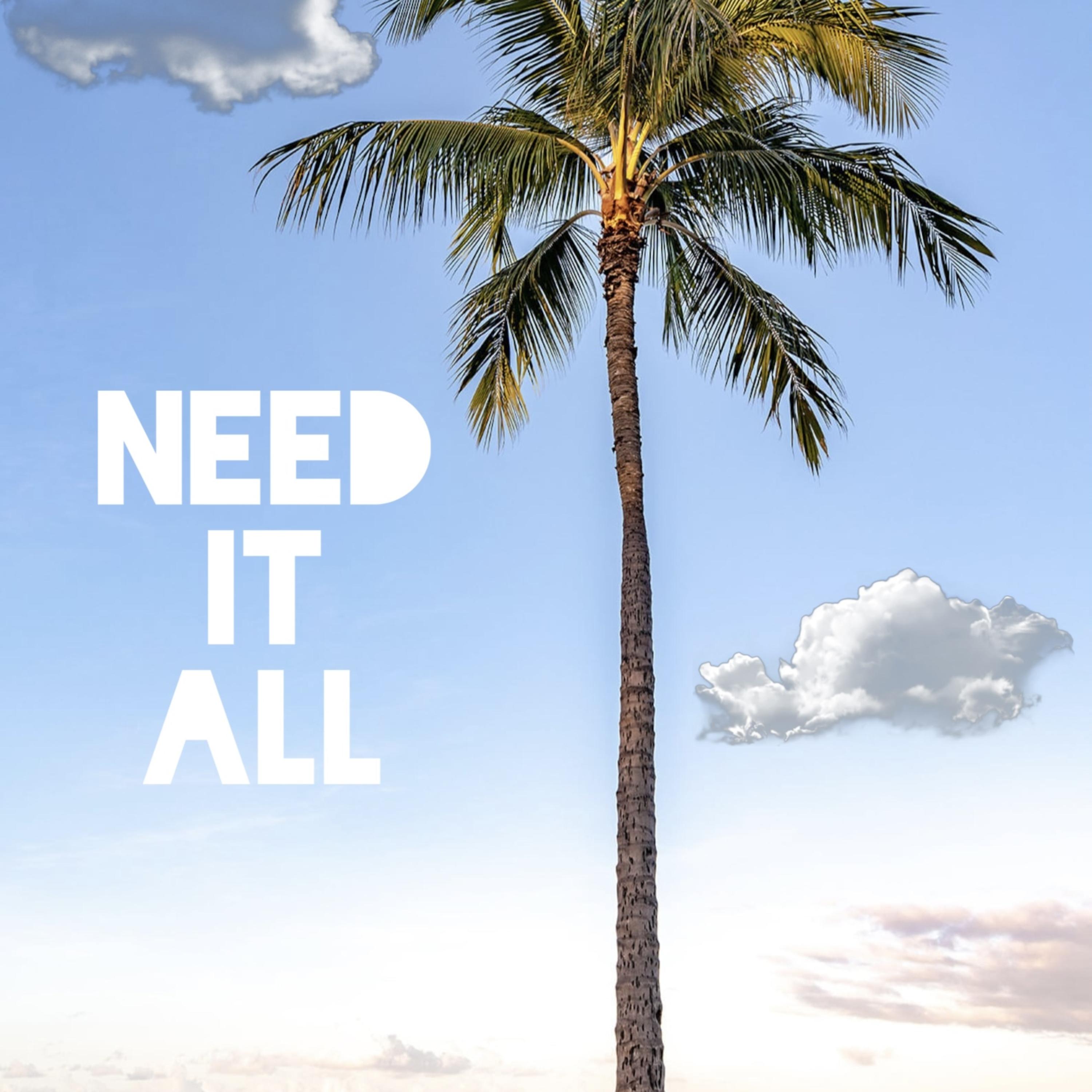 Need It All artwork