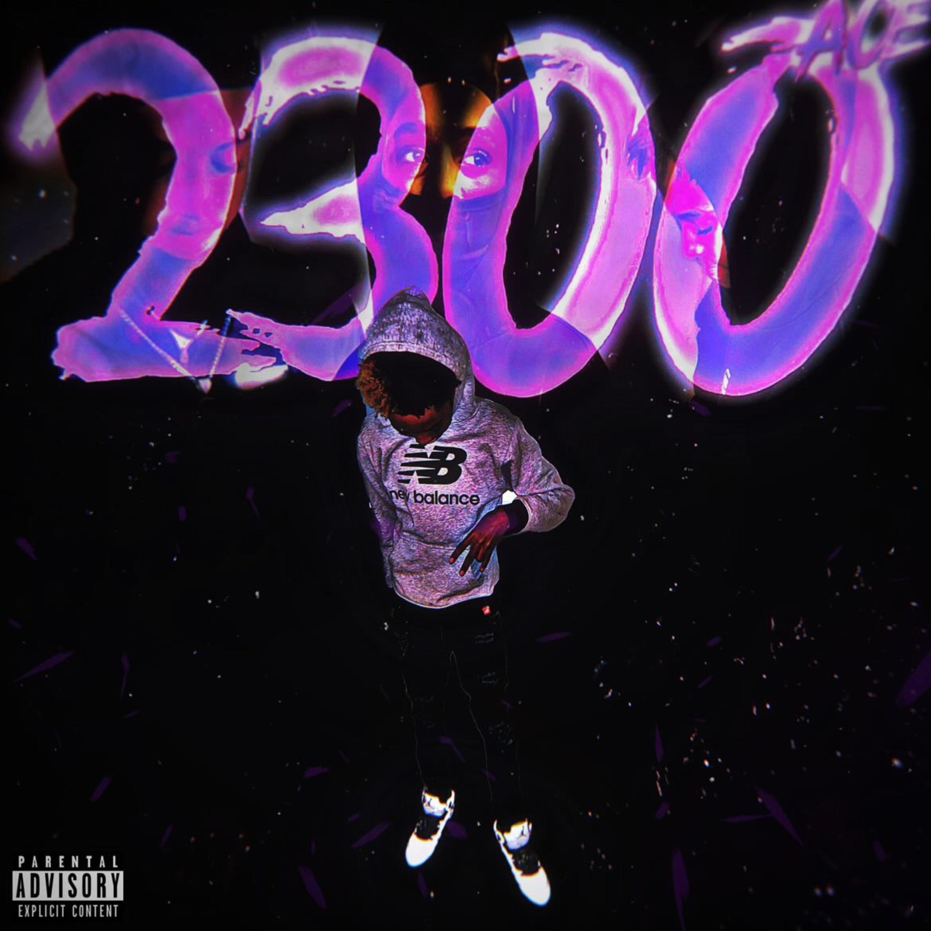 2300 artwork