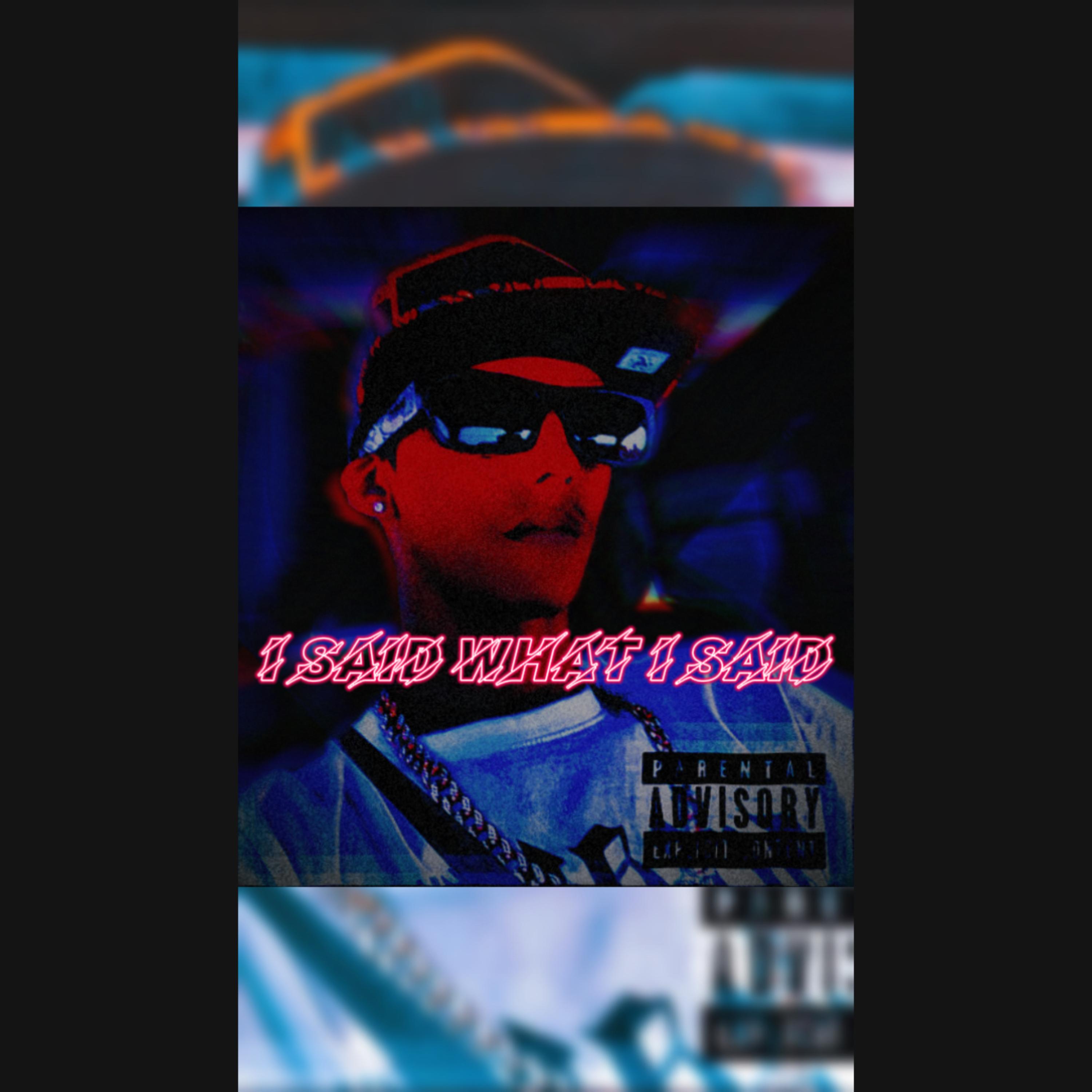 I Said What I Said artwork