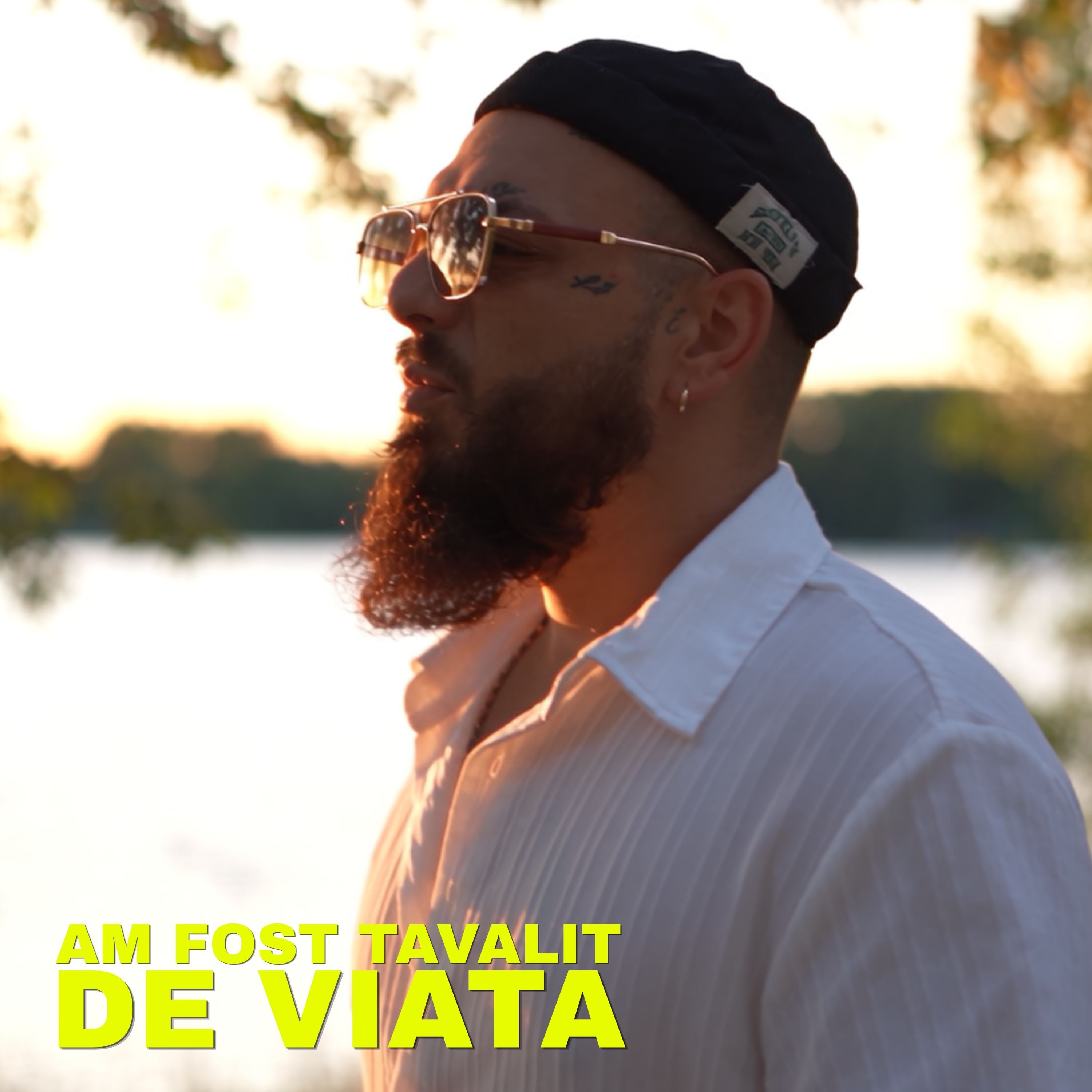 Am fost tavalit de viata by LuCash Music cover art