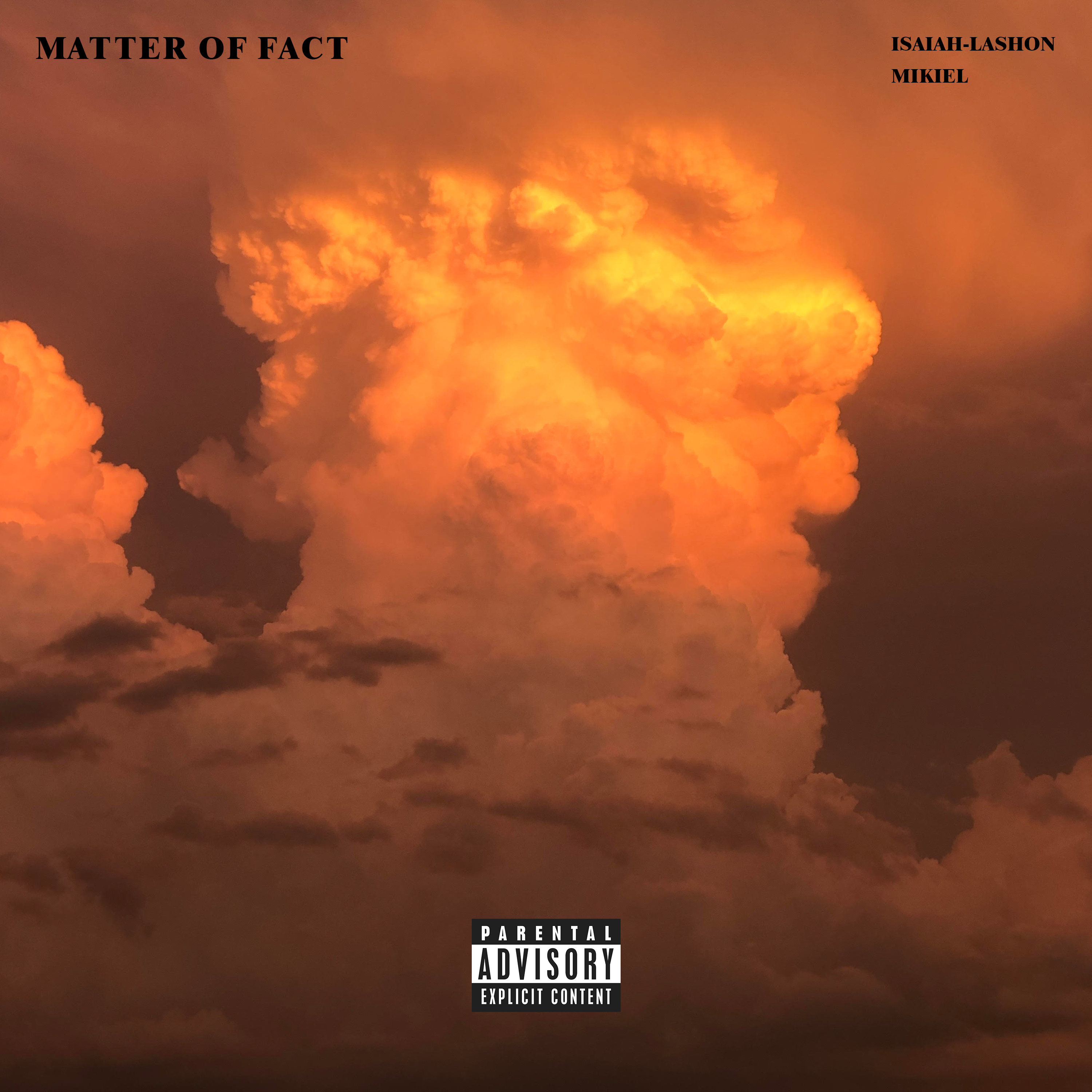 Matter Of Fact by Isaiah-Lashon cover art