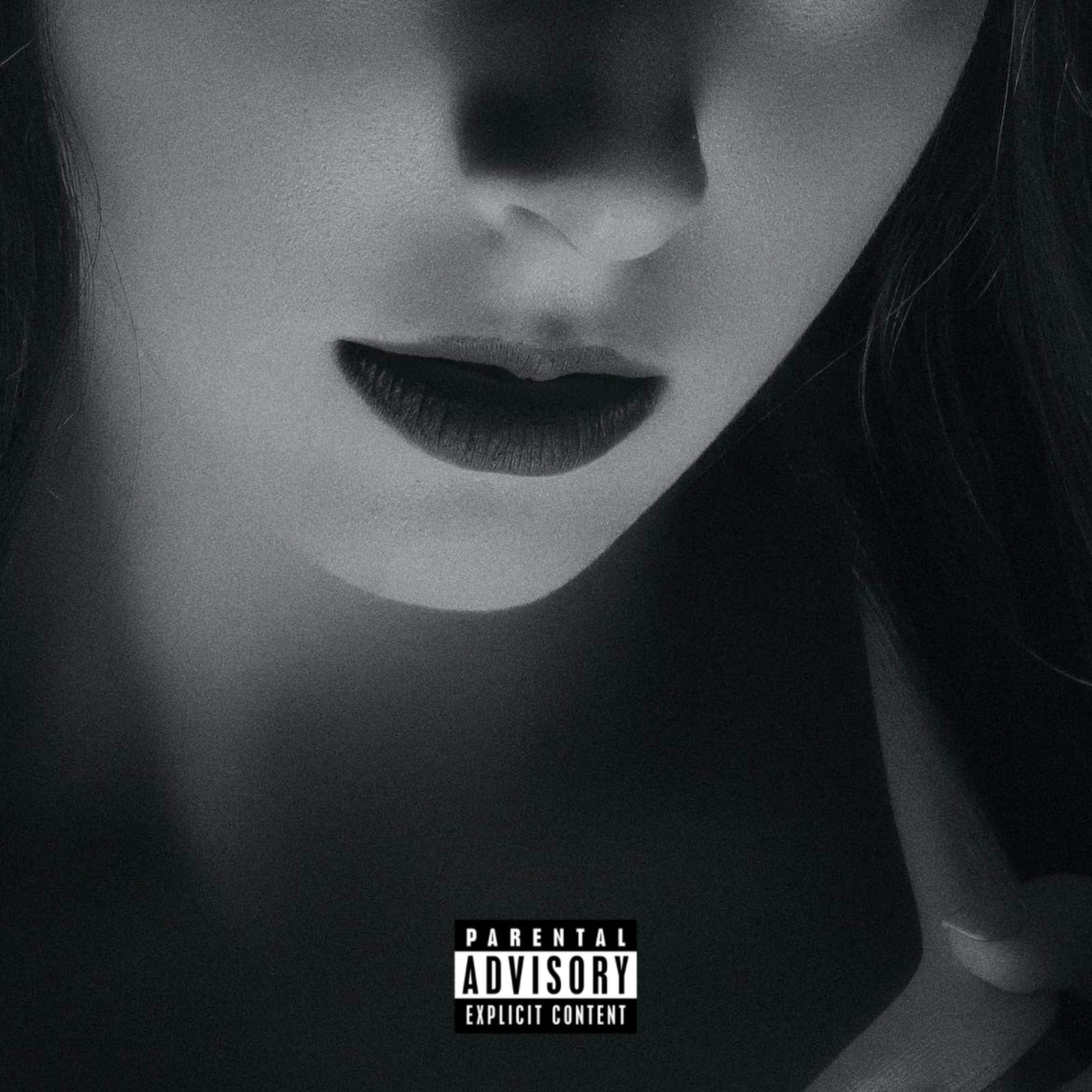 CAMILA artwork