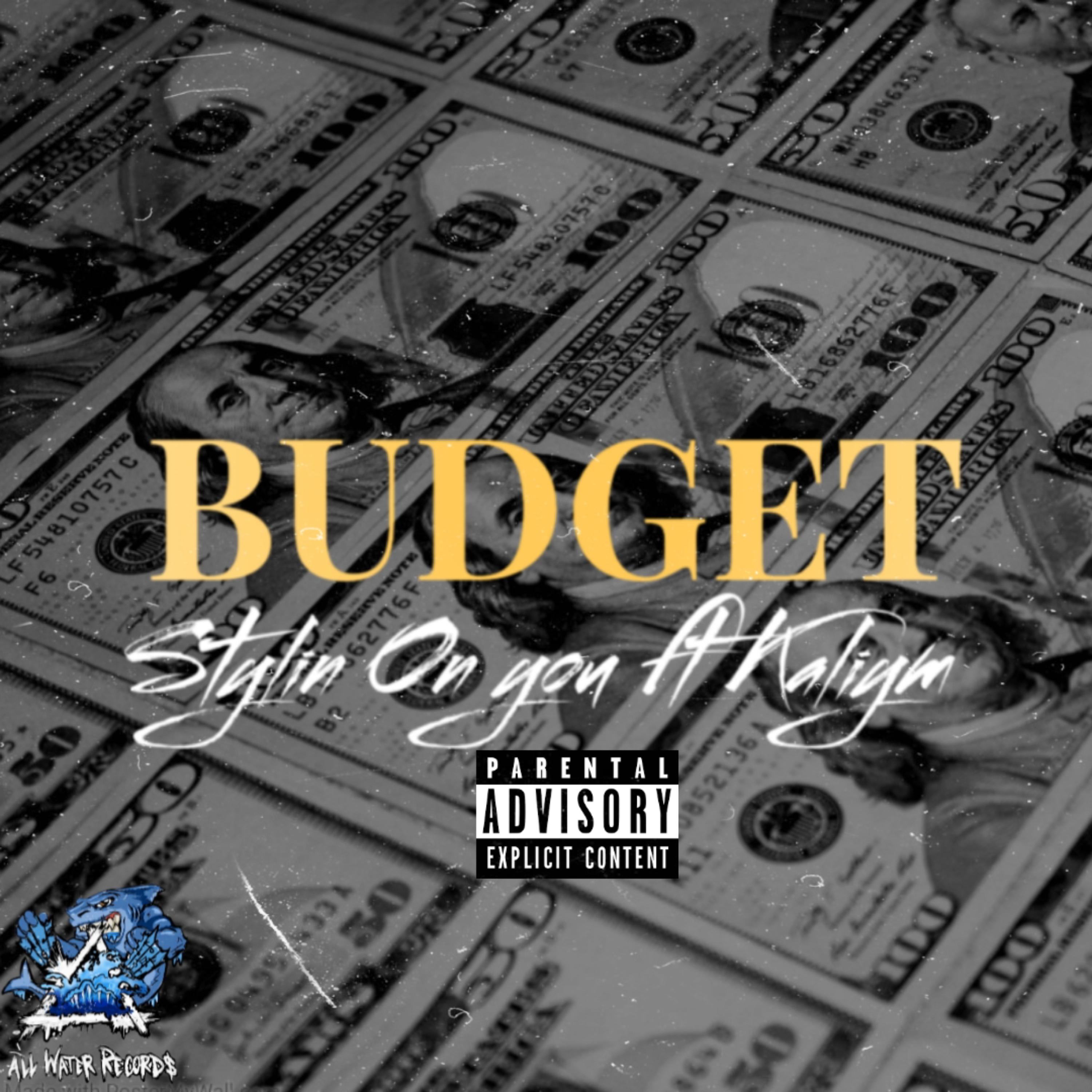 BUDGET artwork