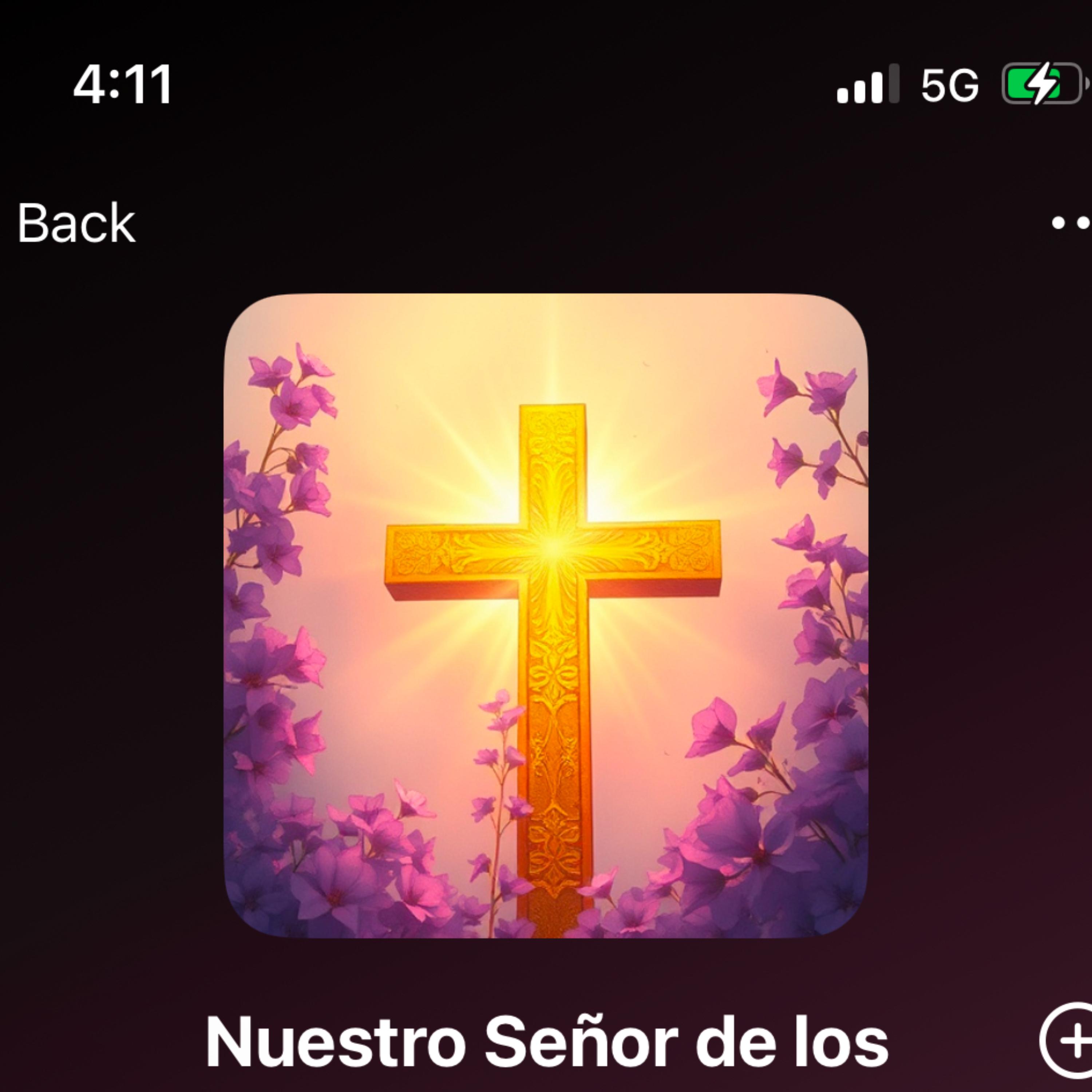 Nuestro Señor de Los Milagros artwork